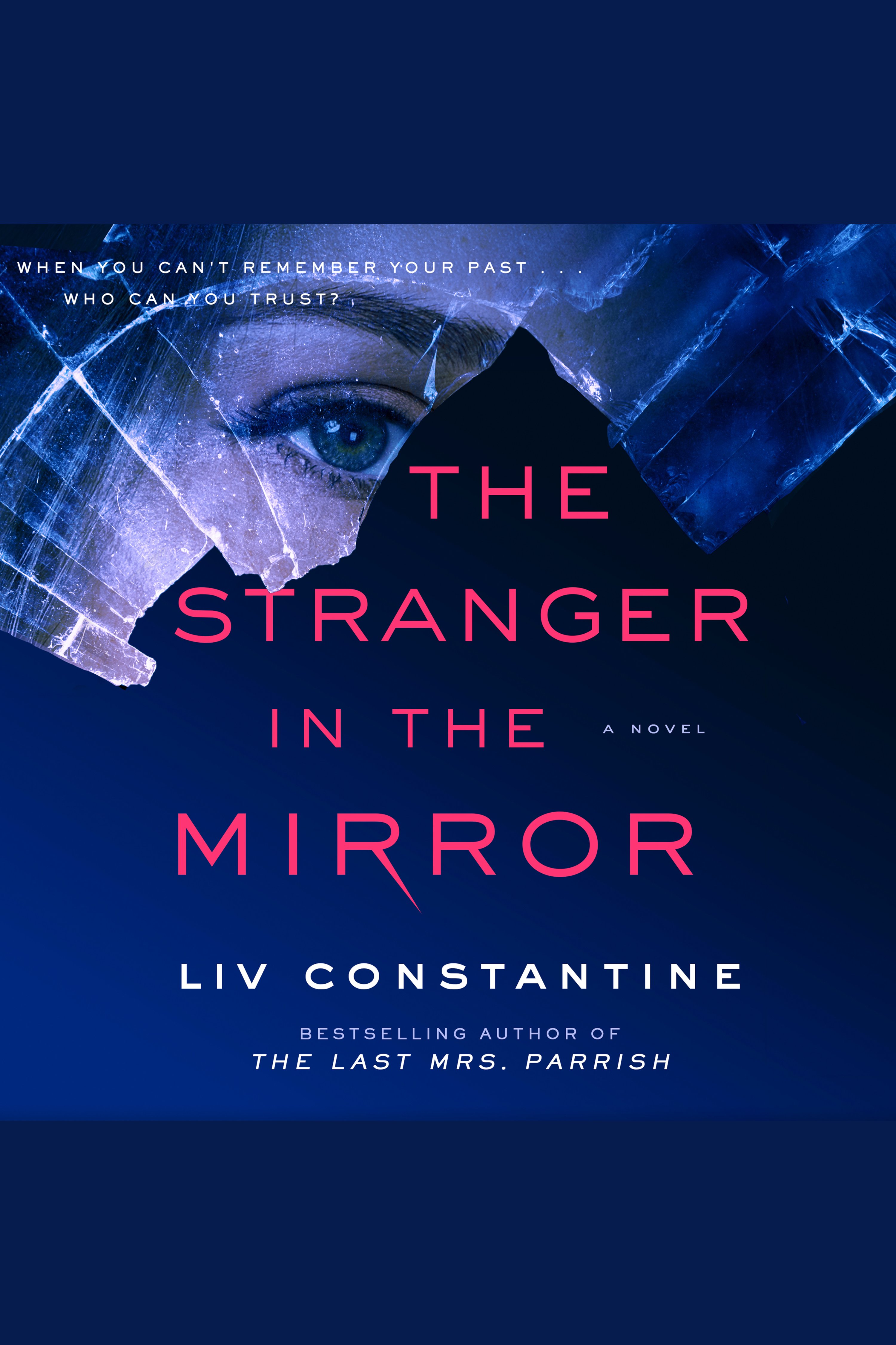 The Stranger in the Mirror cover image