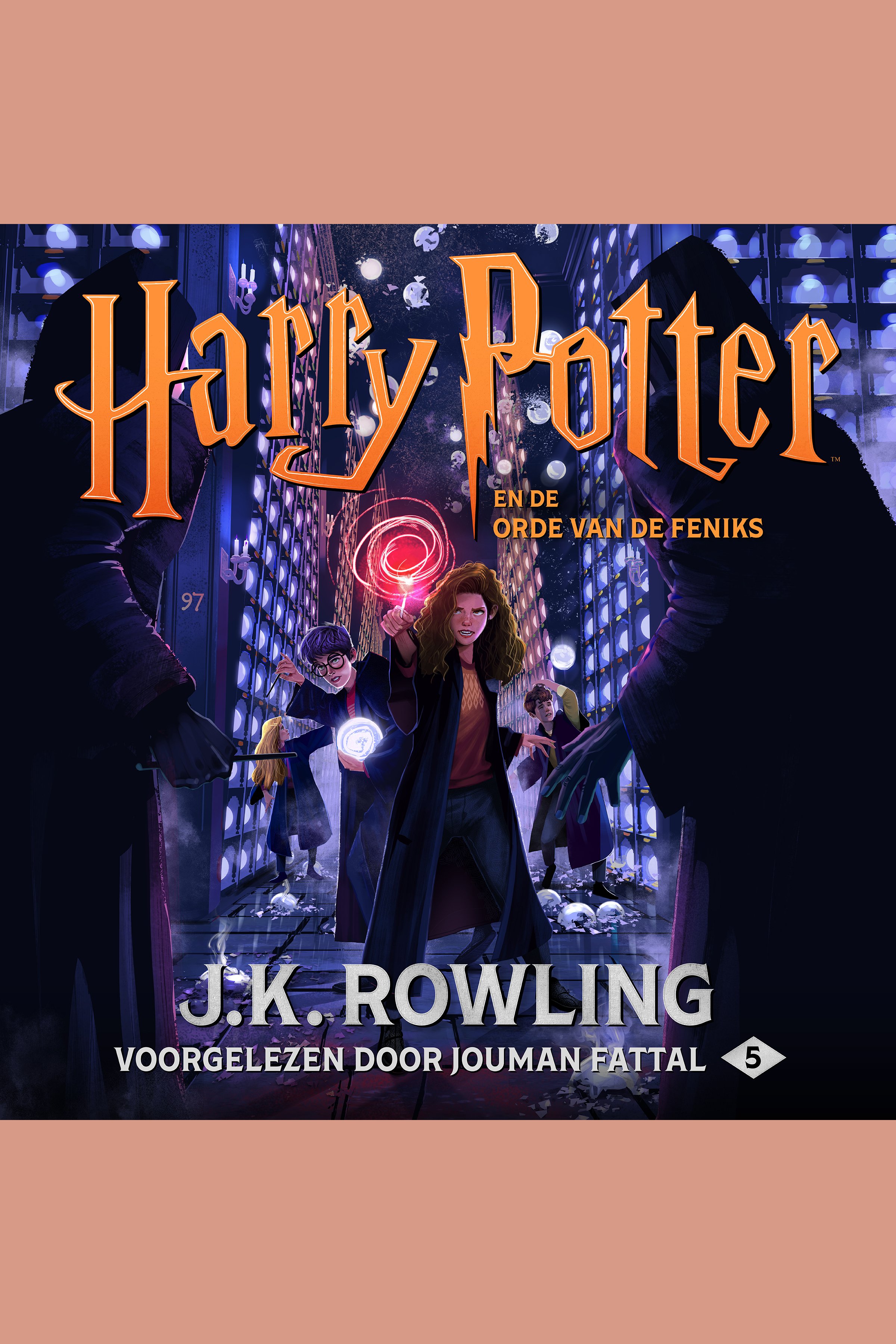 Harry Potter en de Orde van de Feniks