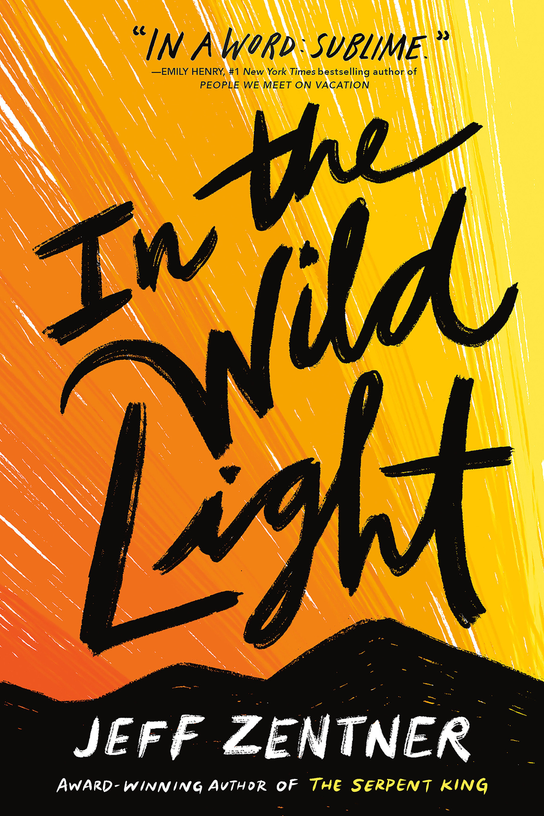In the Wild Light cover image