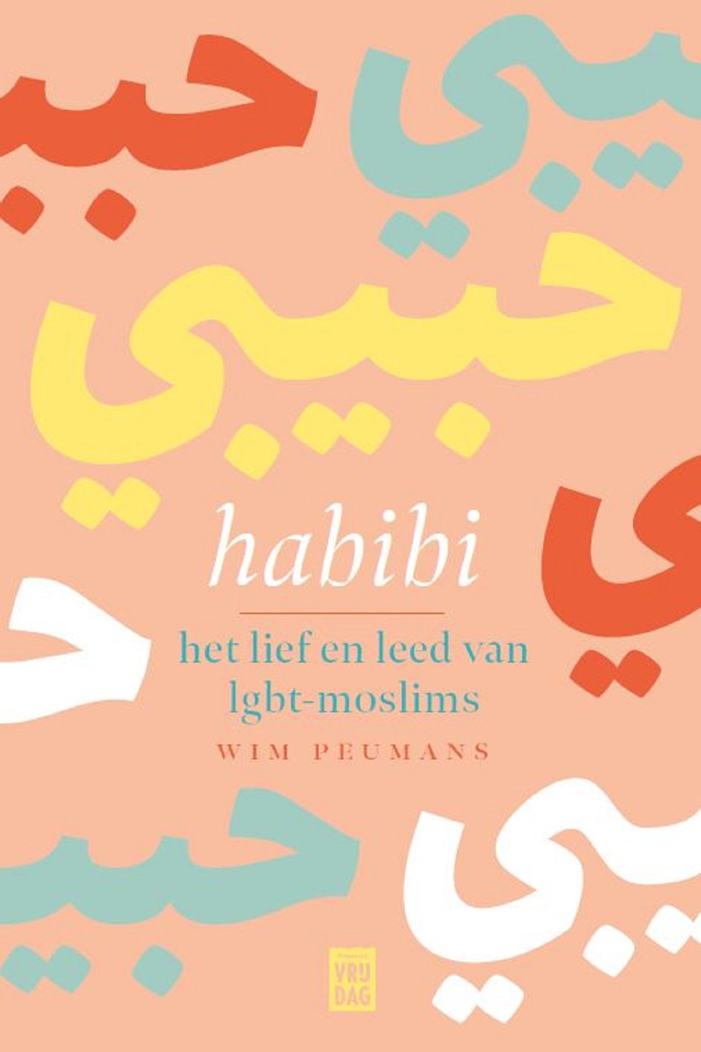 Habibi : het lief en leed van lgbt-moslims
