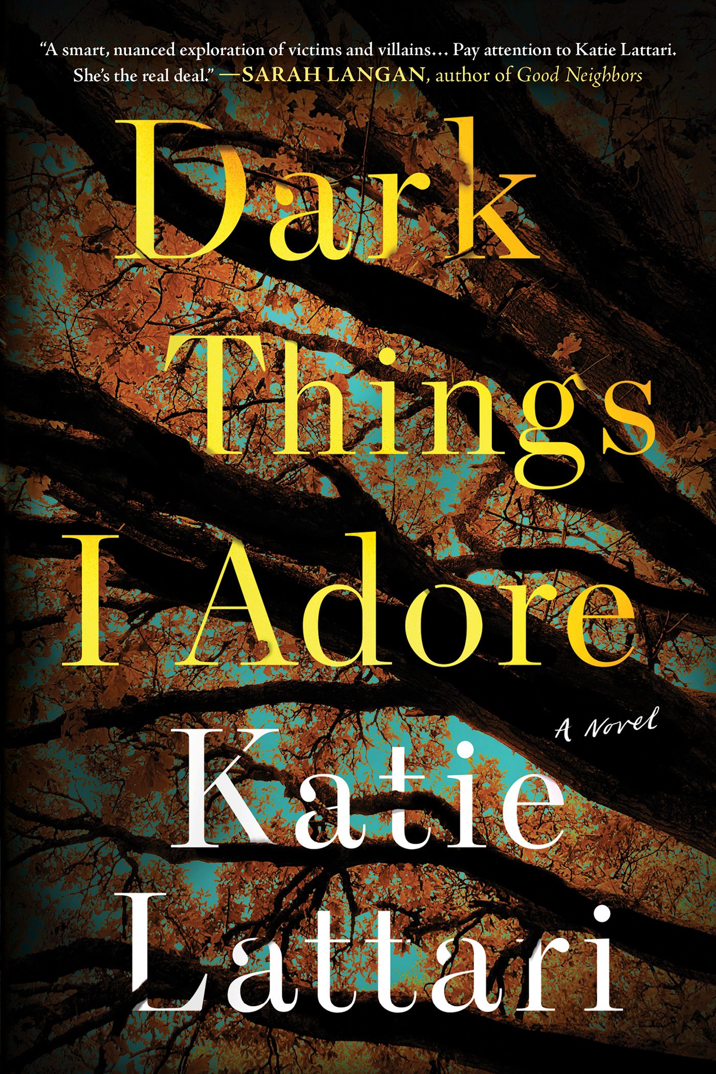 Image de couverture de Dark Things I Adore [electronic resource] : A Novel
