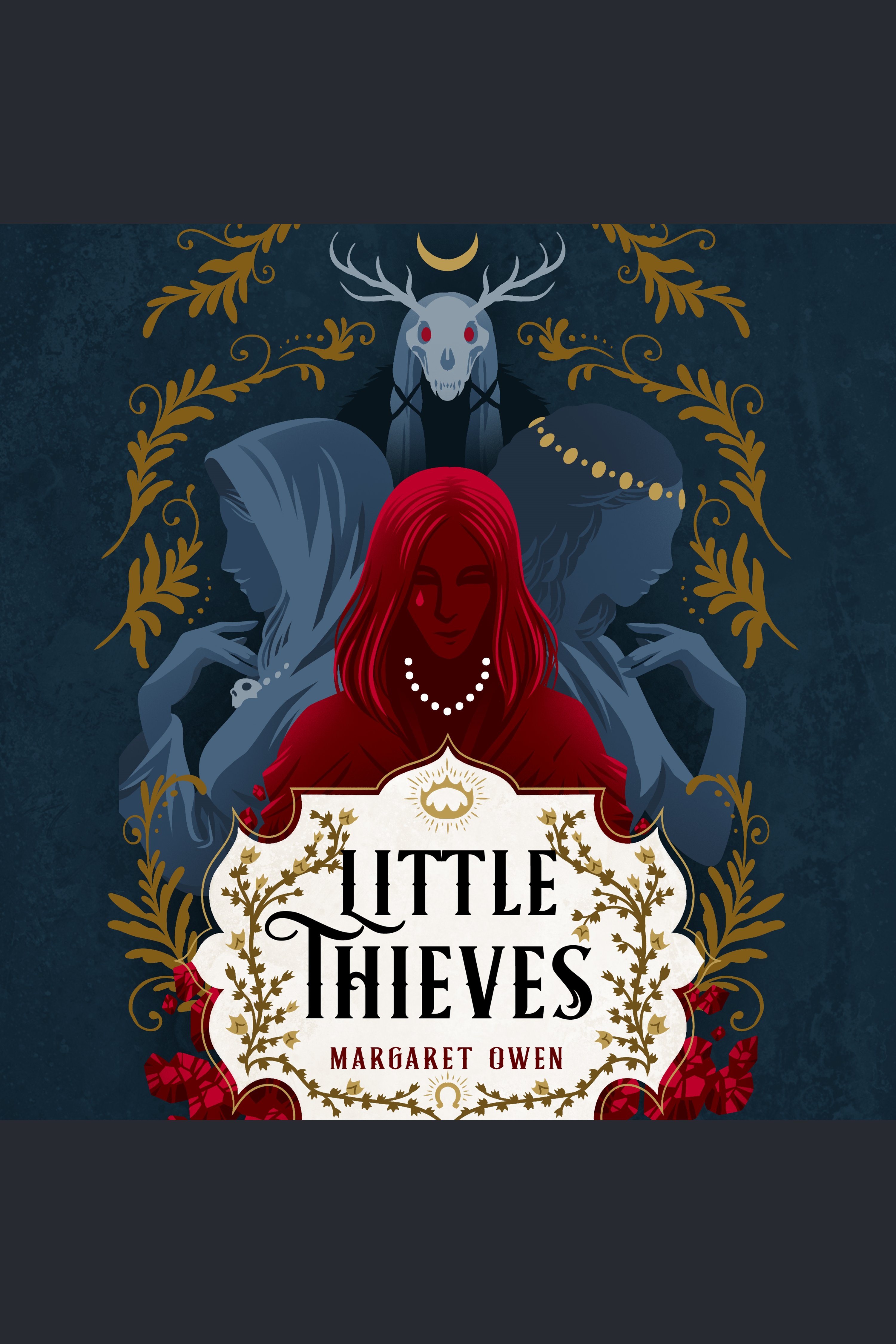 Cover image for Little Thieves [electronic resource] :