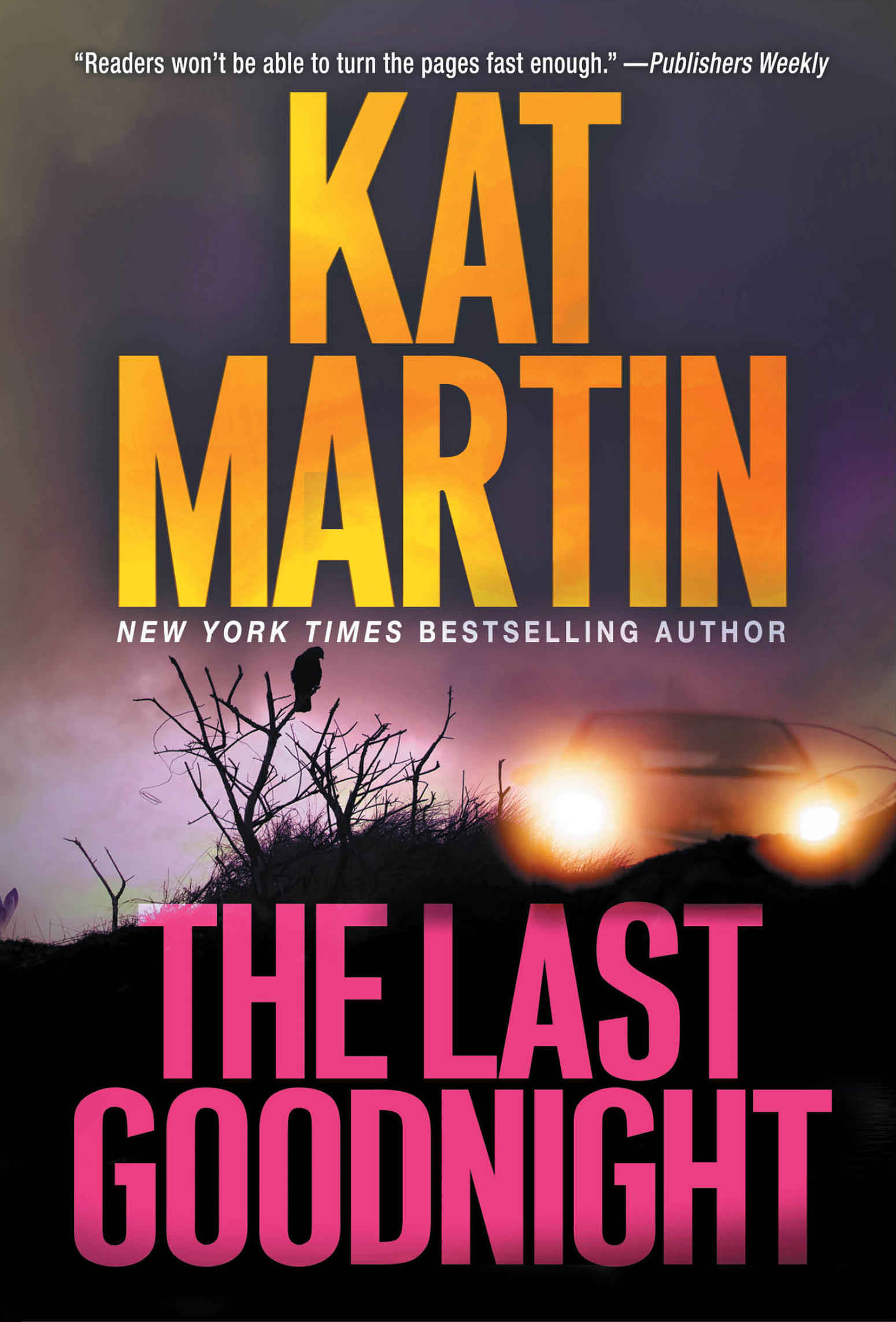 Cover image for The Last Goodnight [electronic resource] : A Riveting New Thriller