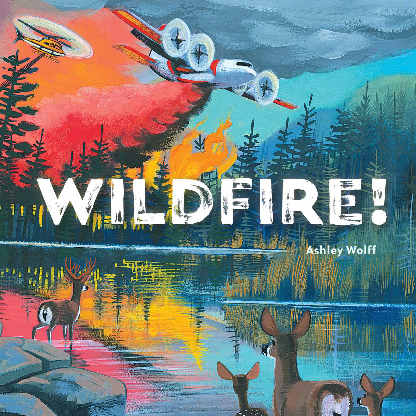 Wildfire! cover image
