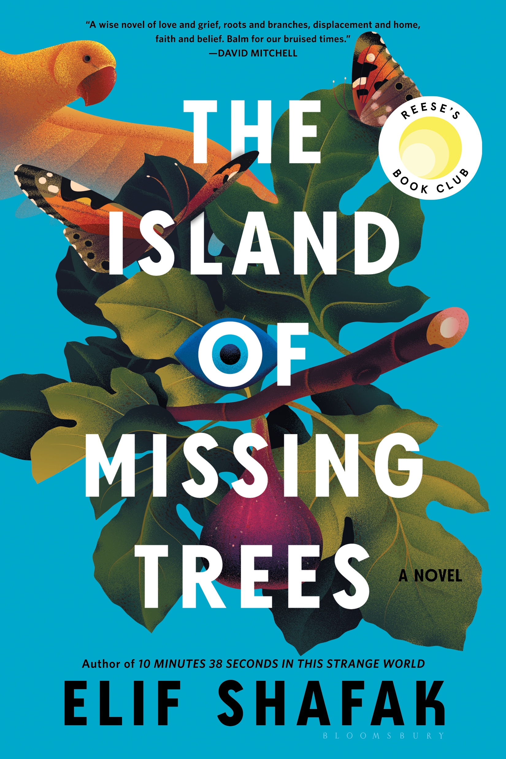 The island of missing trees