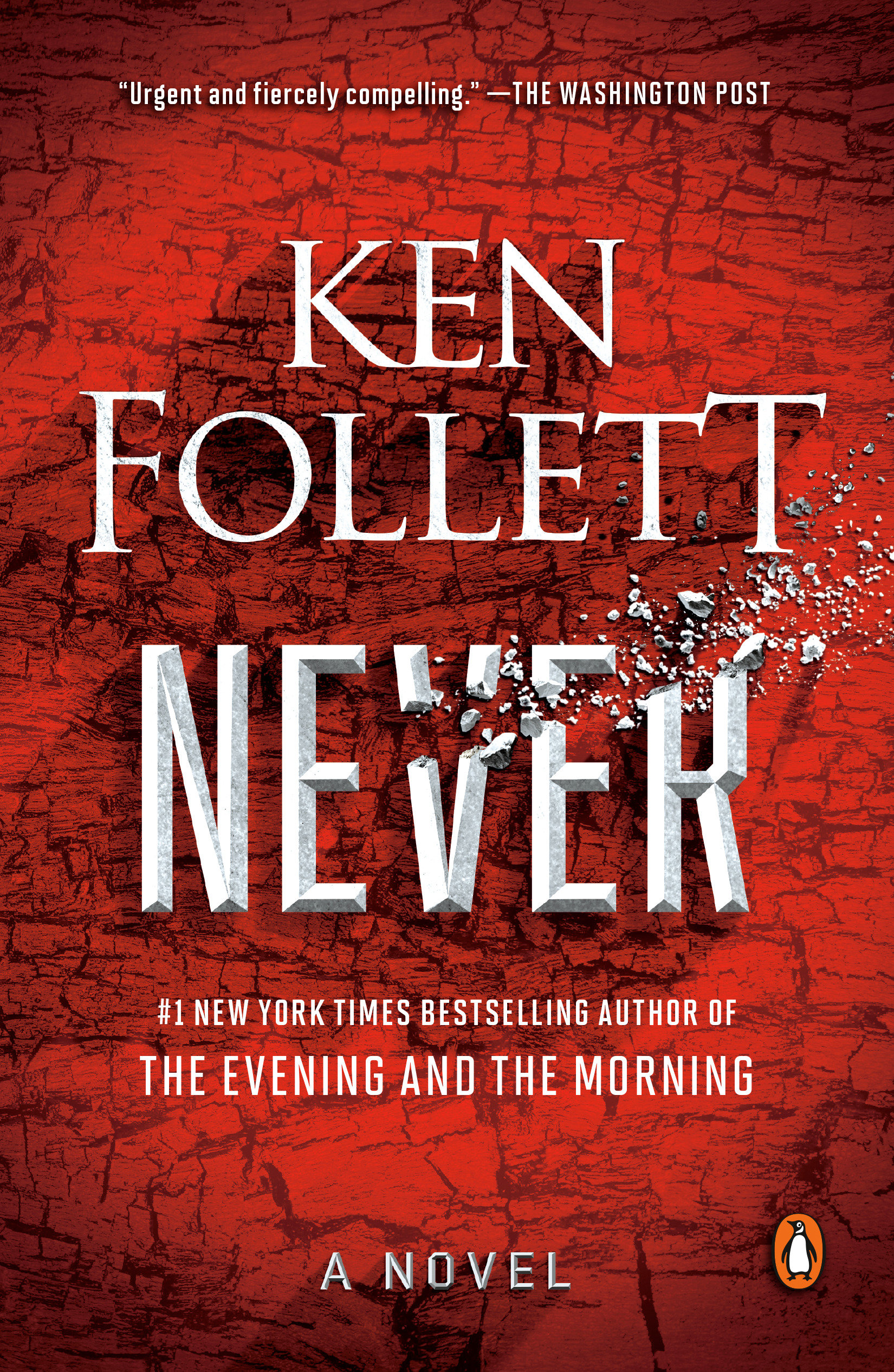 Cover image for Never [electronic resource] : A Novel