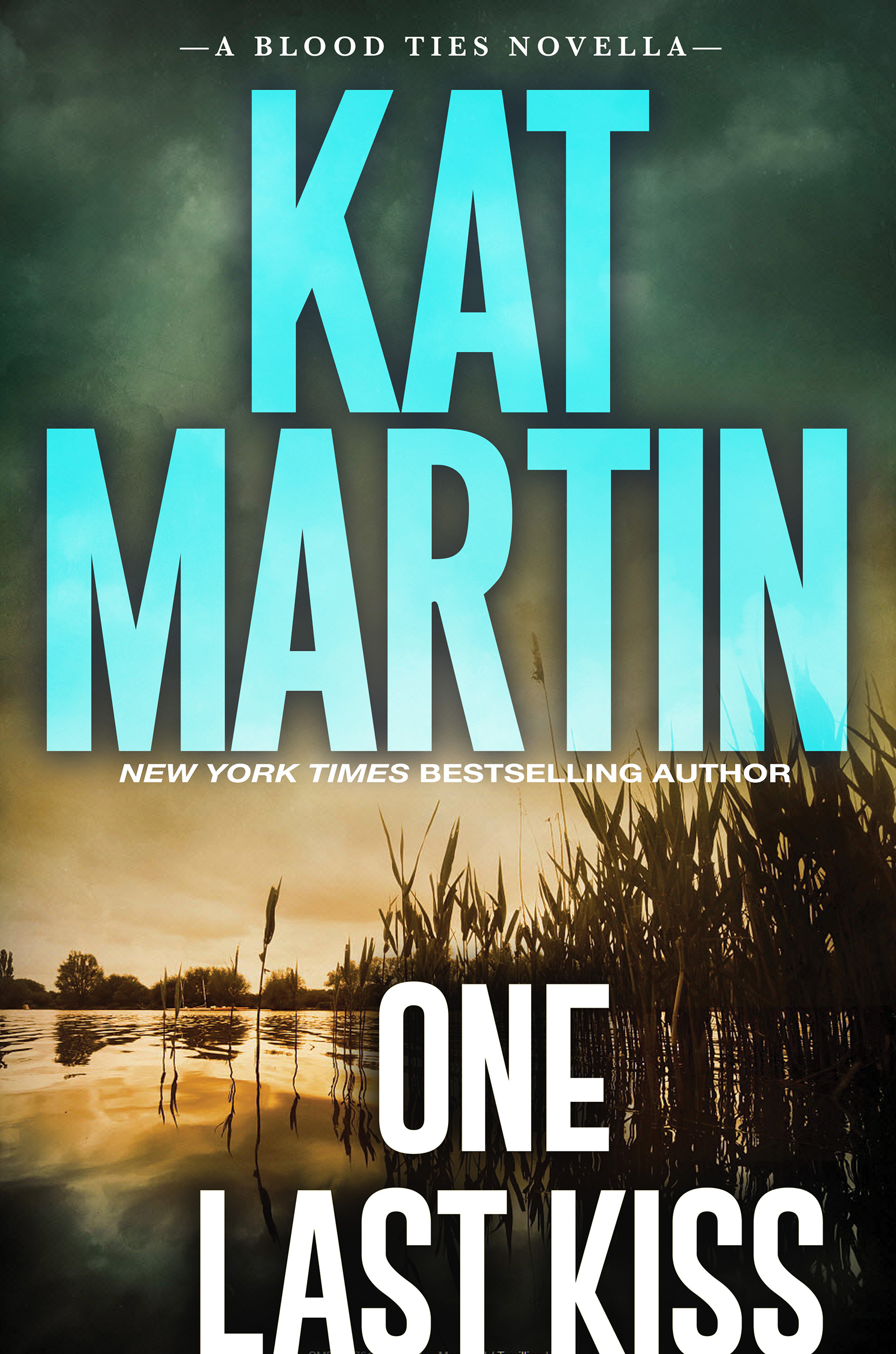 Image de couverture de One Last Kiss [electronic resource] :