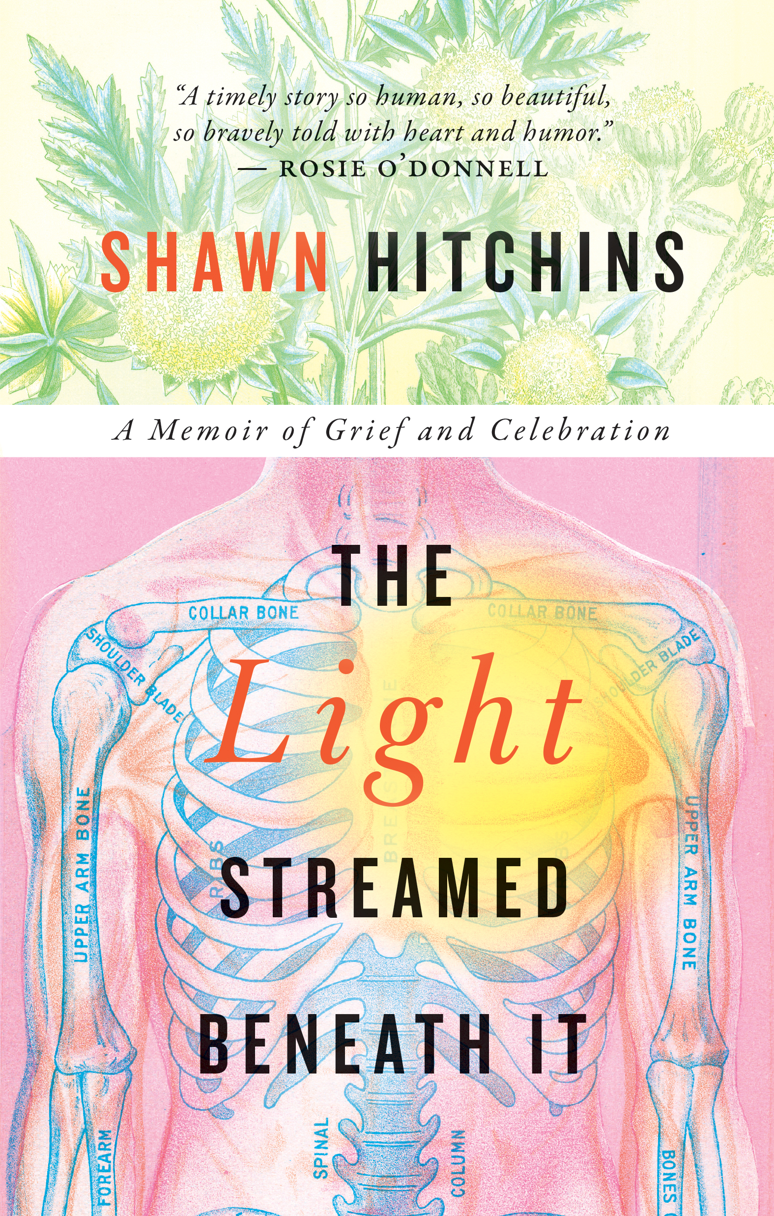 The Light Streamed Beneath It by Shawn Hitchins