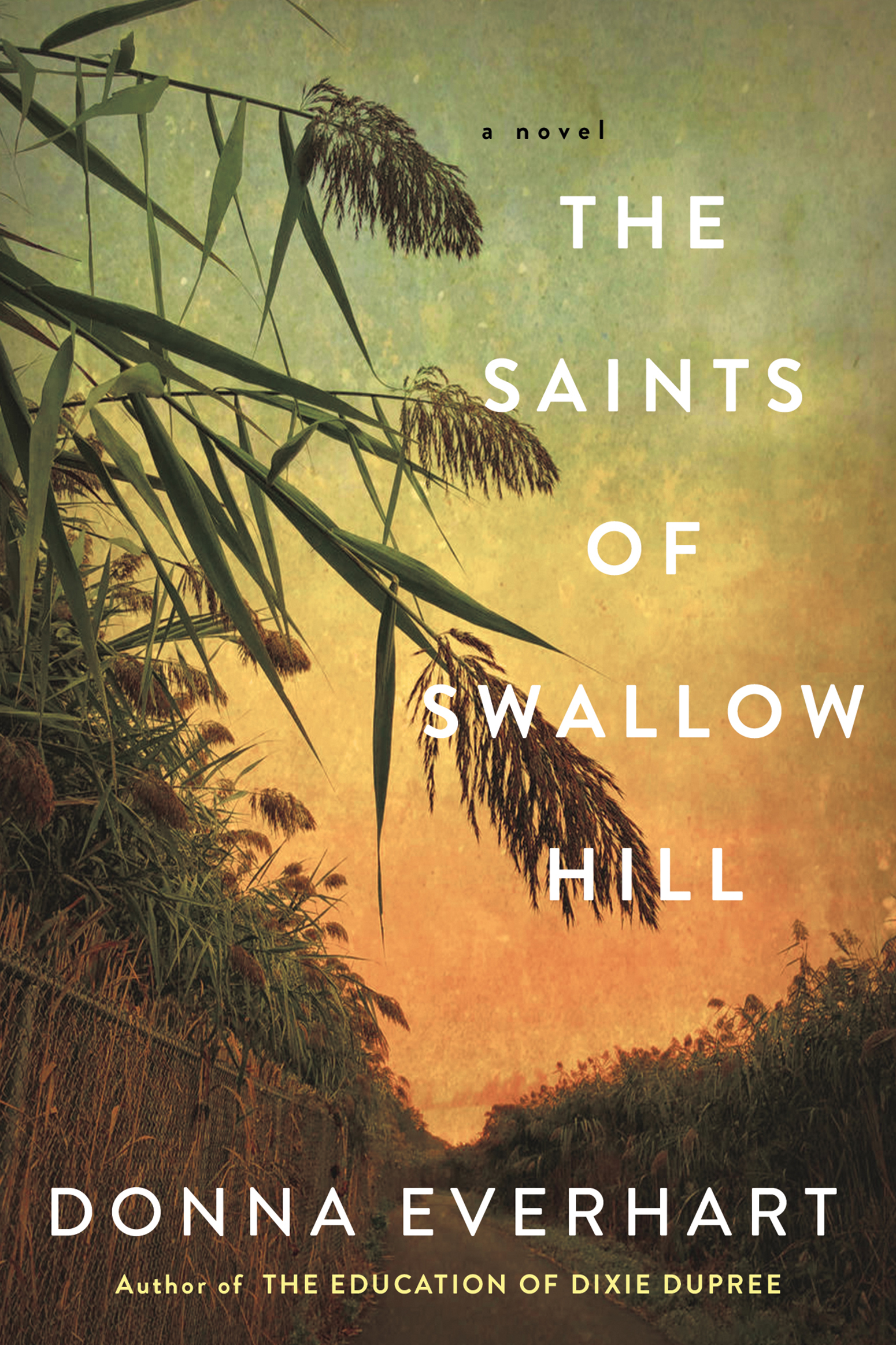 Imagen de portada para The Saints of Swallow Hill [electronic resource] : A Fascinating Depression Era Historical Novel