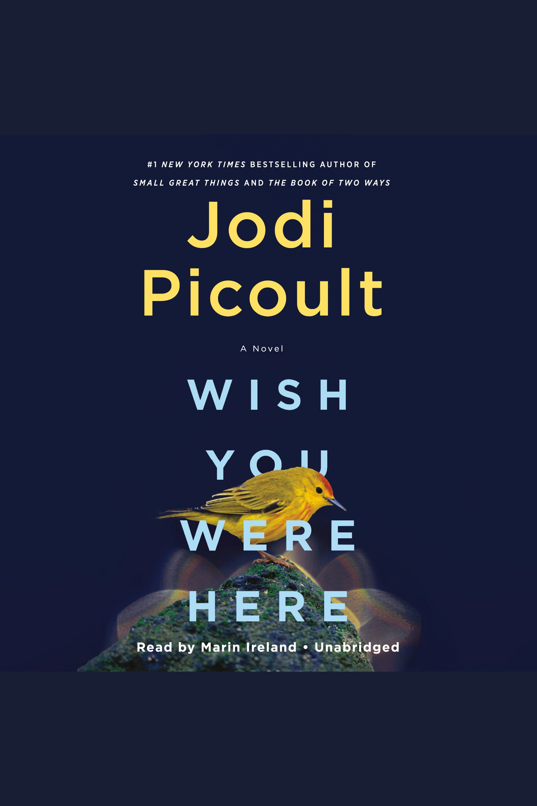 Cover image for Wish You Were Here [electronic resource] : A Novel