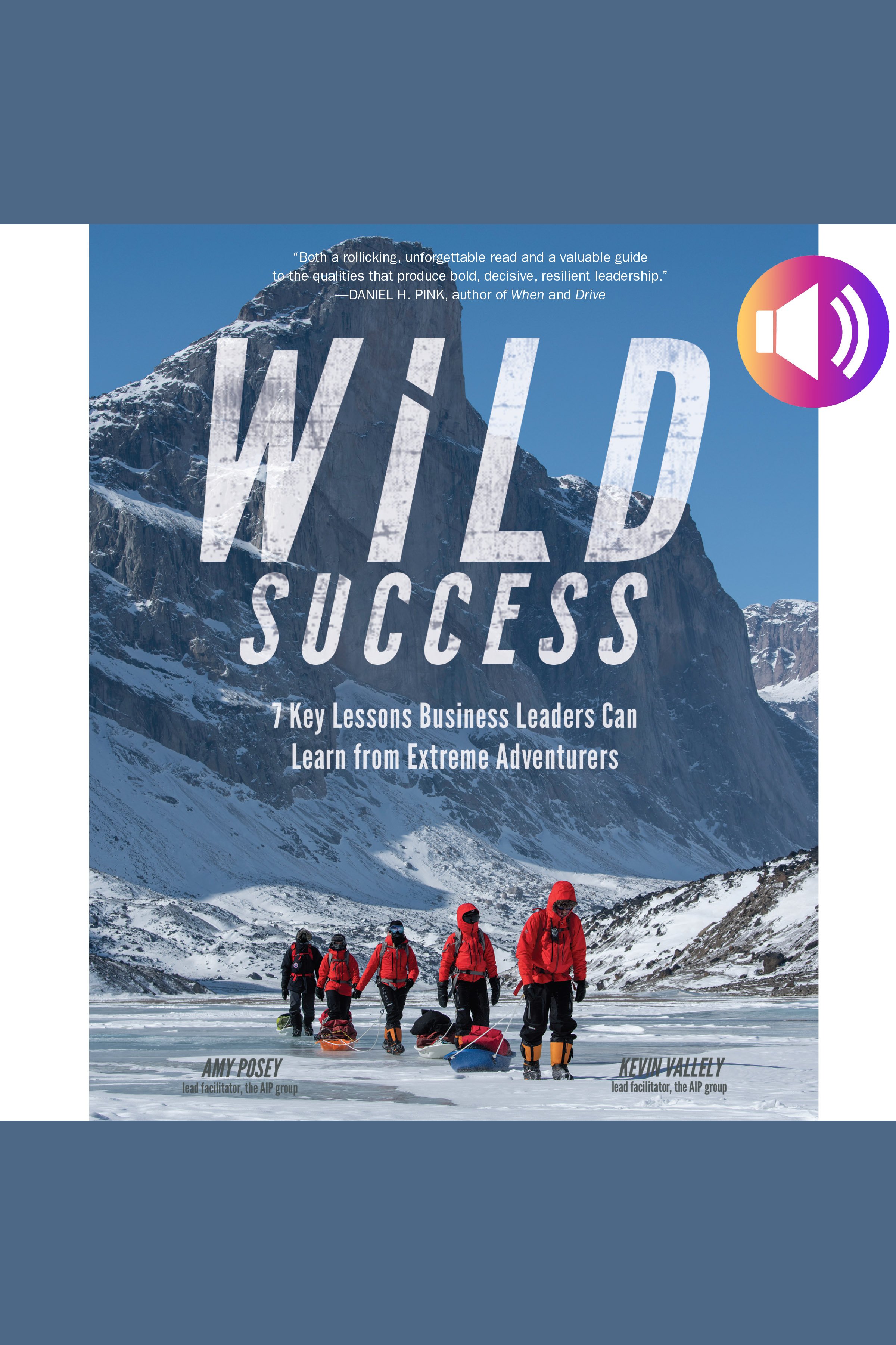 Wild Success 7 Key Lessons Business Leaders Can Learn from Extreme Adventurers cover image