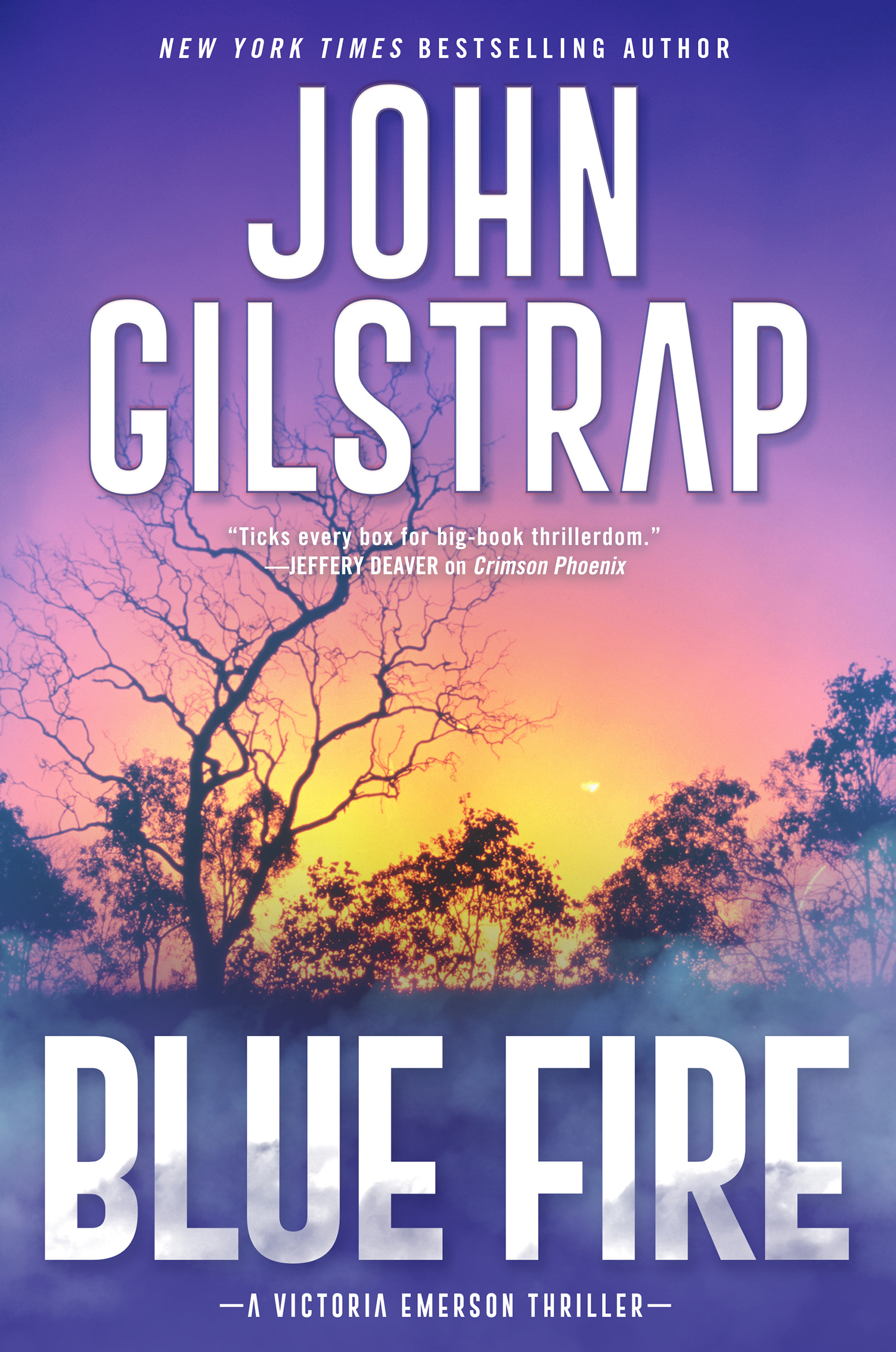 Blue Fire A Riveting New Thriller cover image