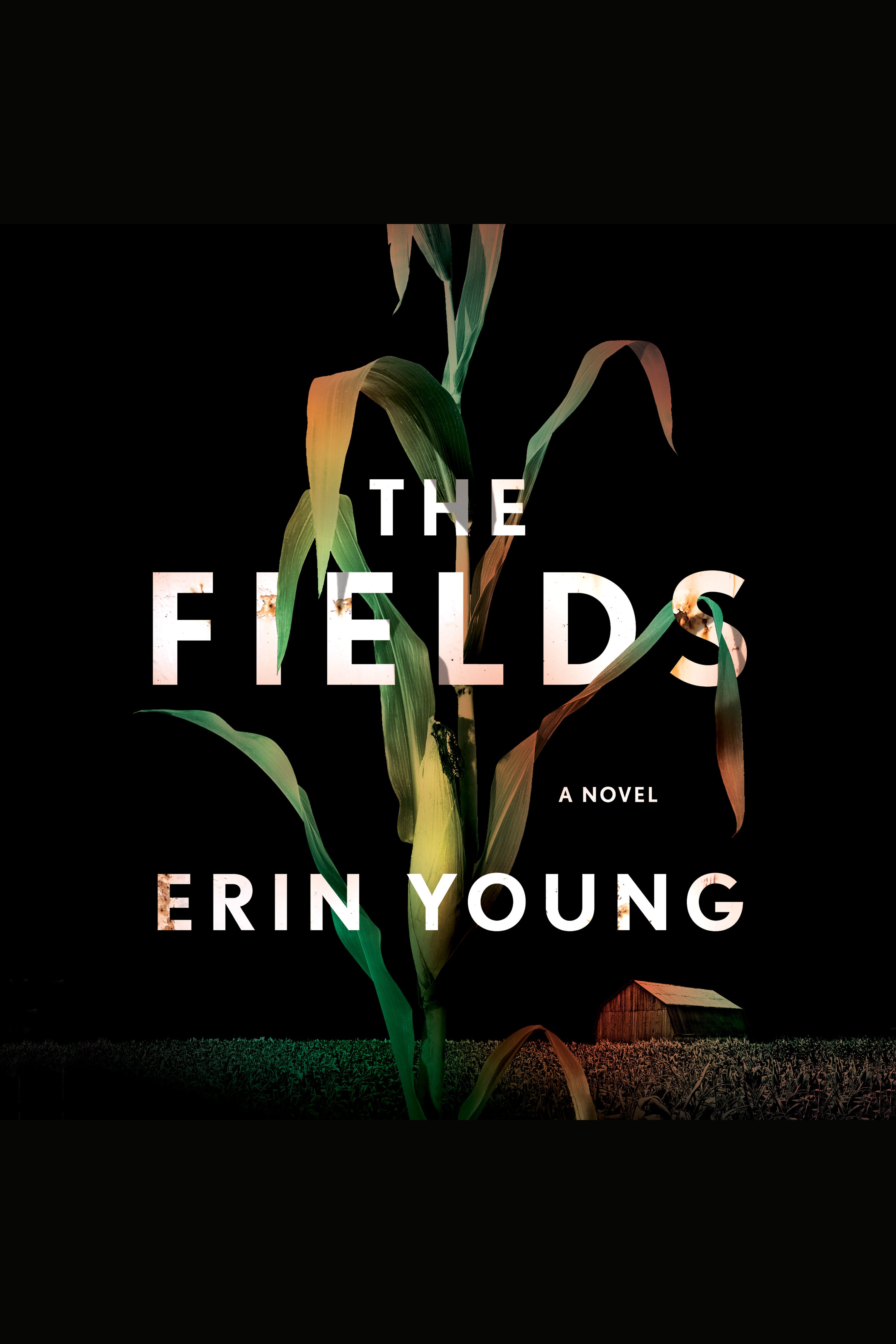 Cover image for The Fields [electronic resource] : A Novel
