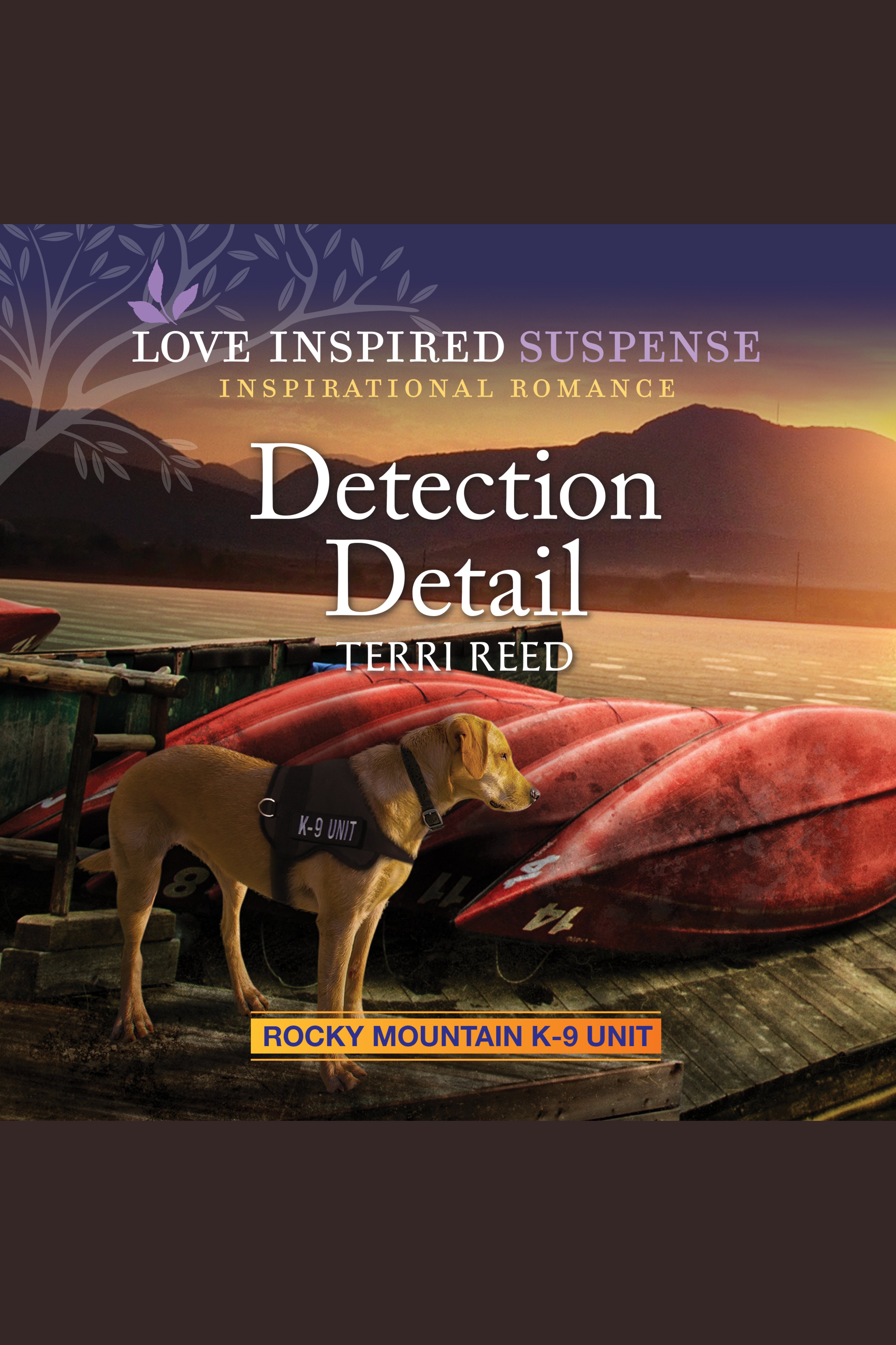 Imagen de portada para Detection Detail [electronic resource] :