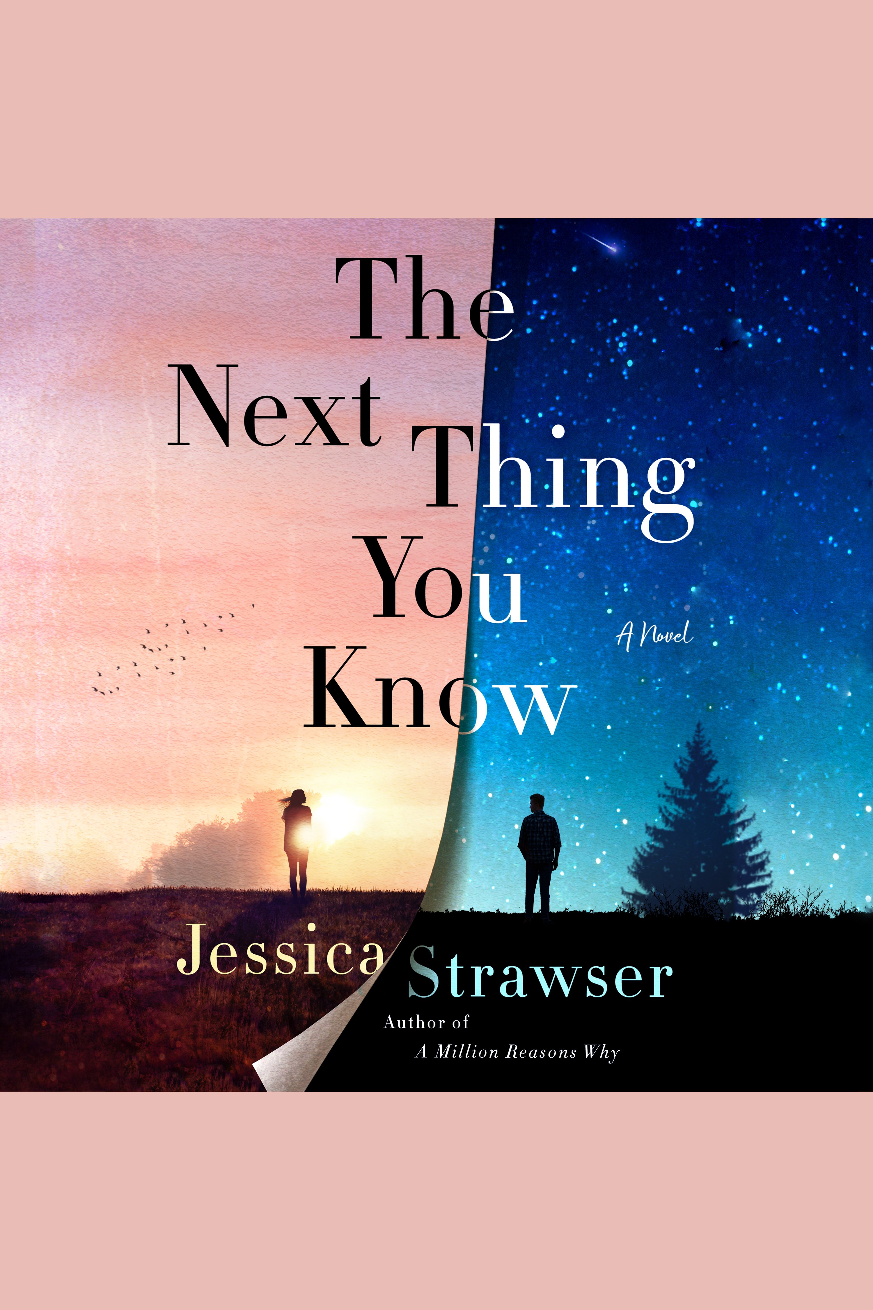 Cover image for The Next Thing You Know [electronic resource] : A Novel