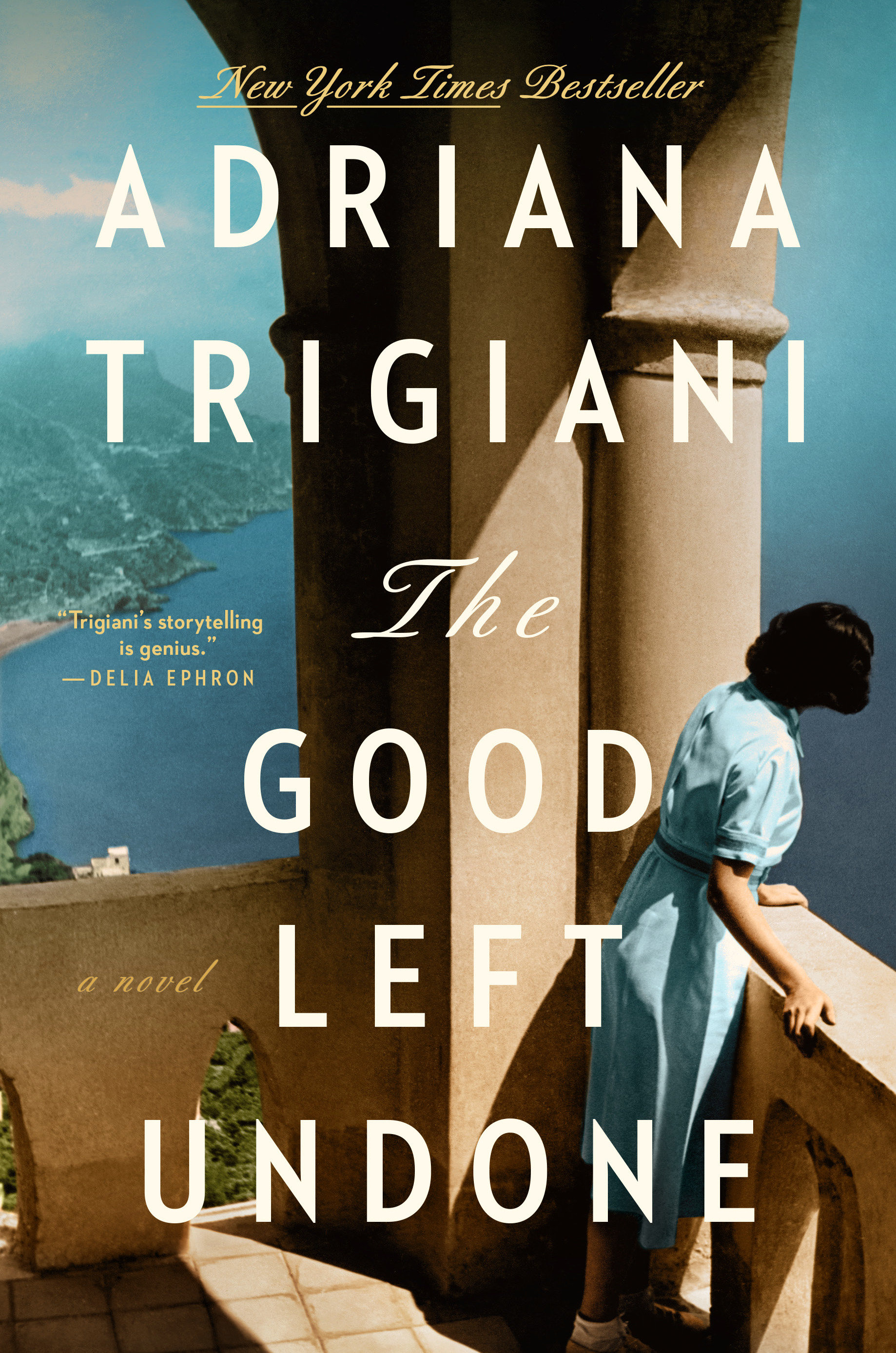 Cover image for The Good Left Undone [electronic resource] : A Novel