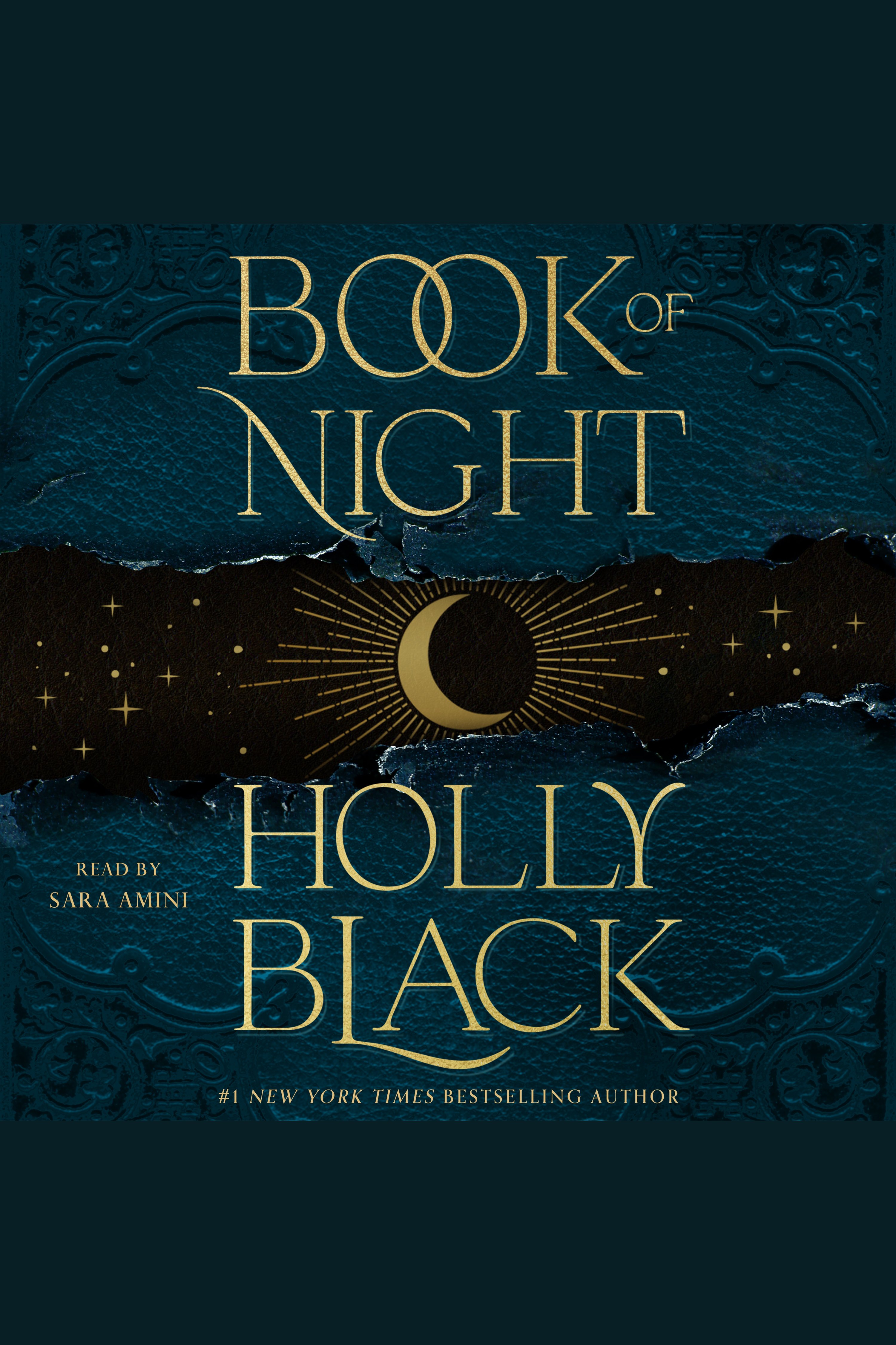 Umschlagbild für Book of Night [electronic resource] :