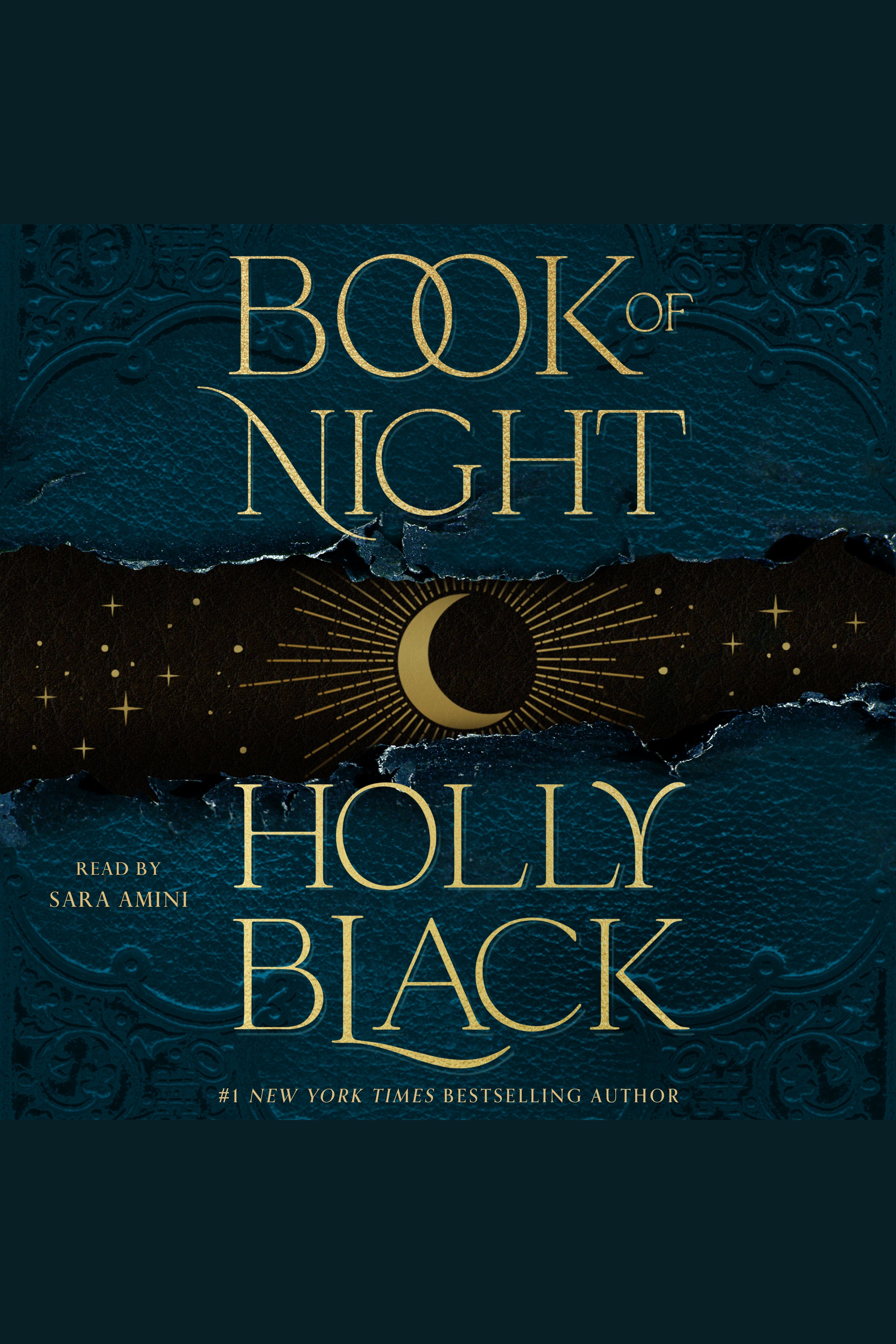 Imagen de portada para Book of Night [electronic resource] :