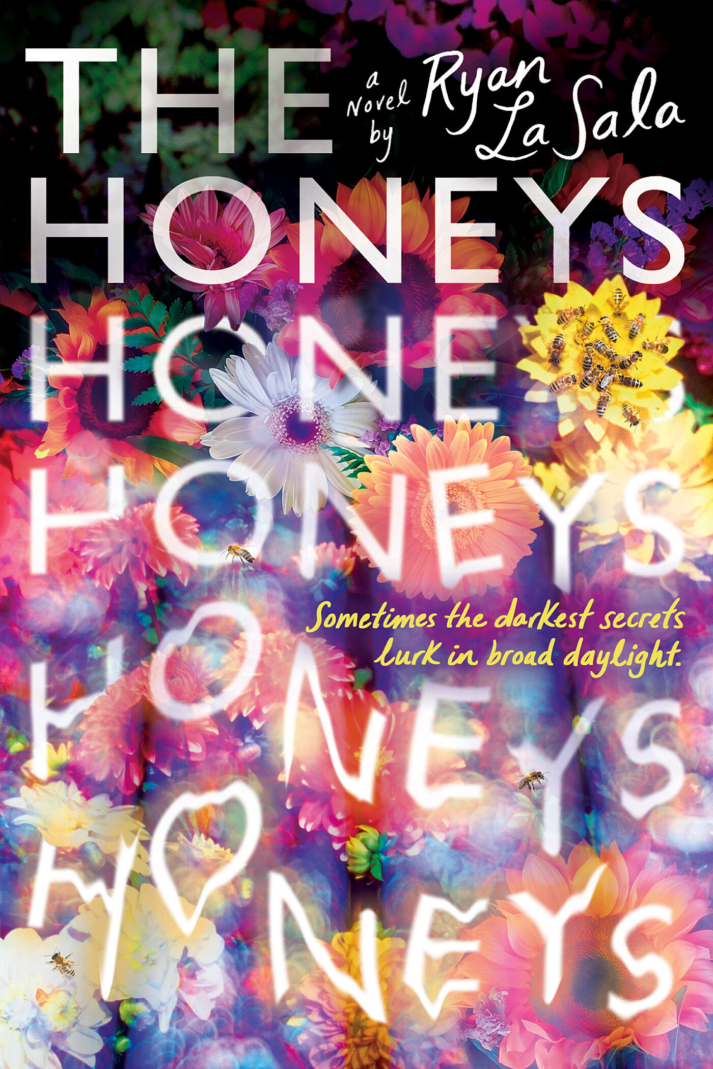 The Honeys cover image