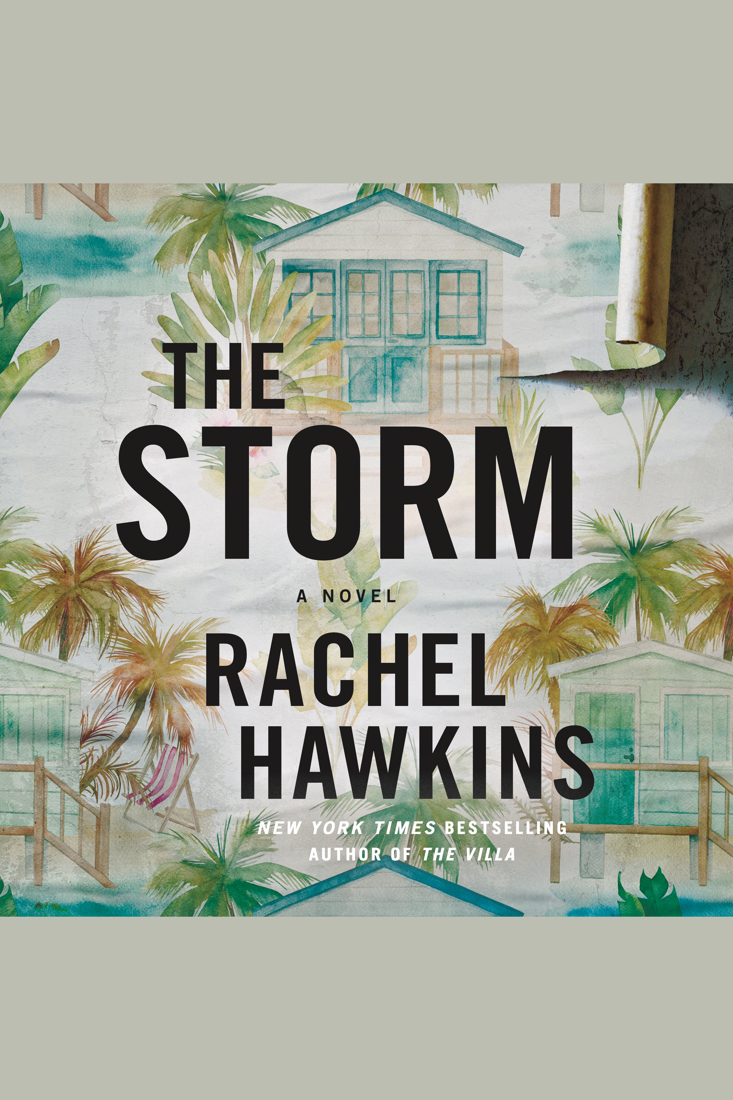 The Storm cover image