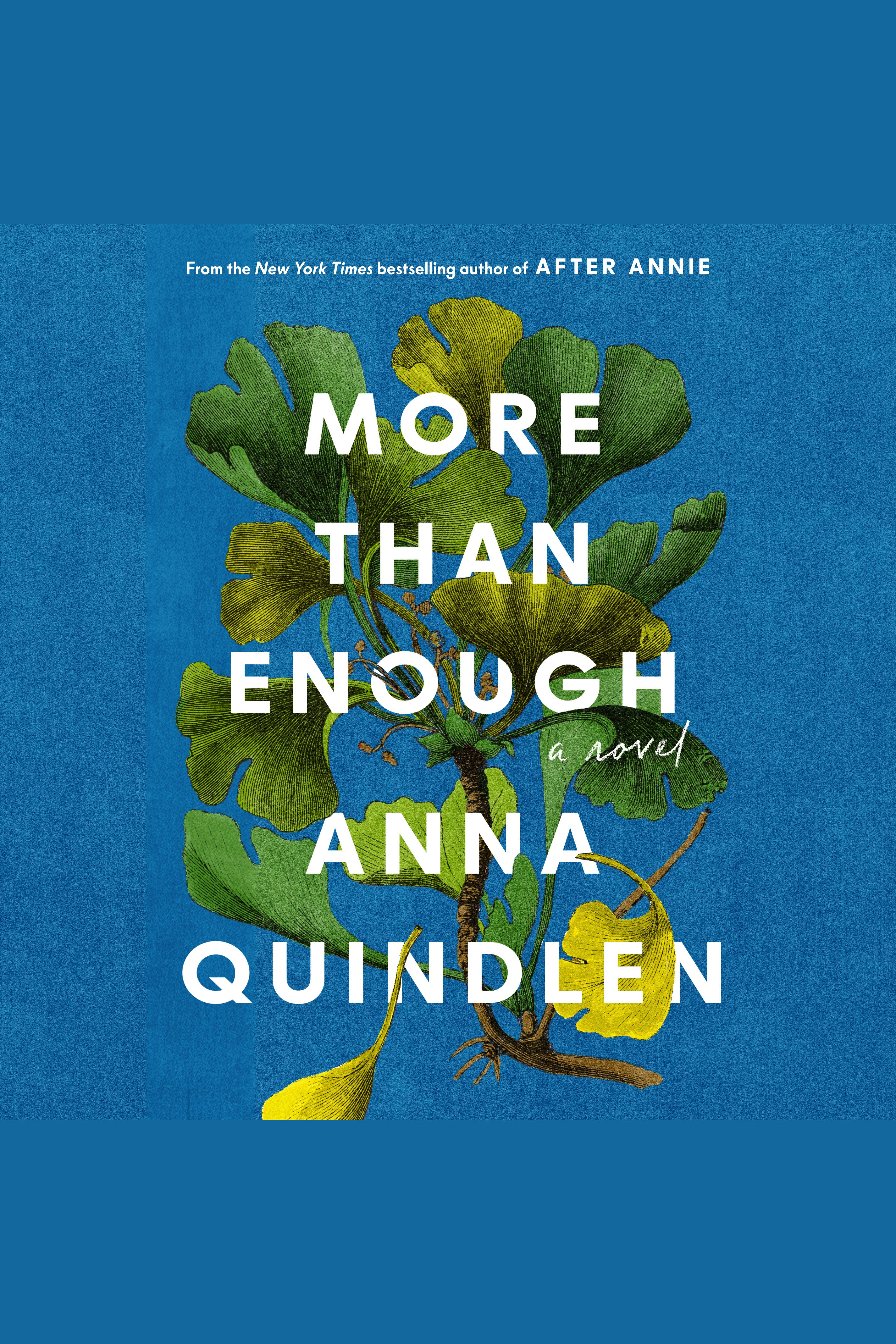 More Than Enough cover image