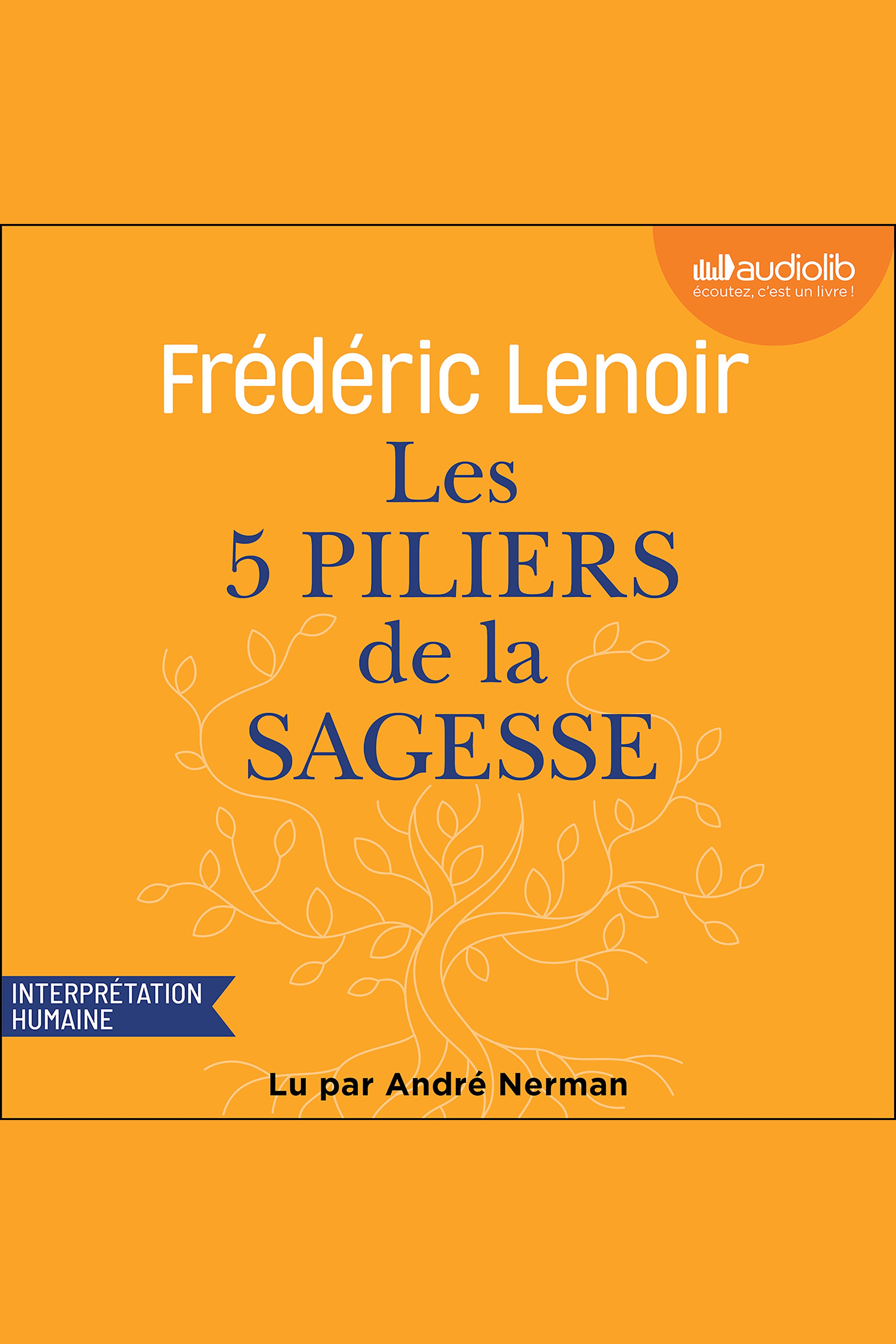 Les 5 Piliers de la sagesse : petit manuel de résistance intérieure
