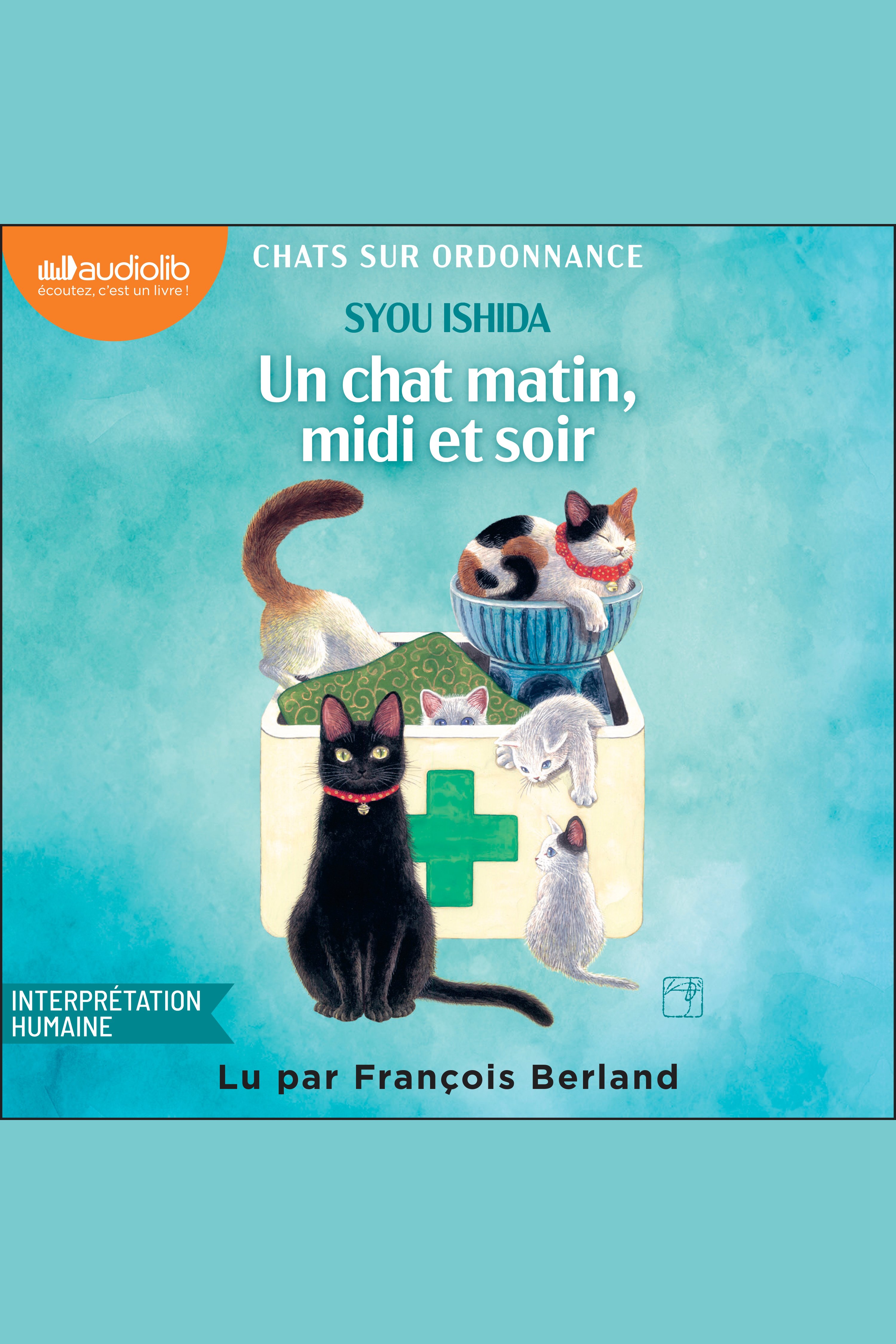 Un chat matin, midi et soir