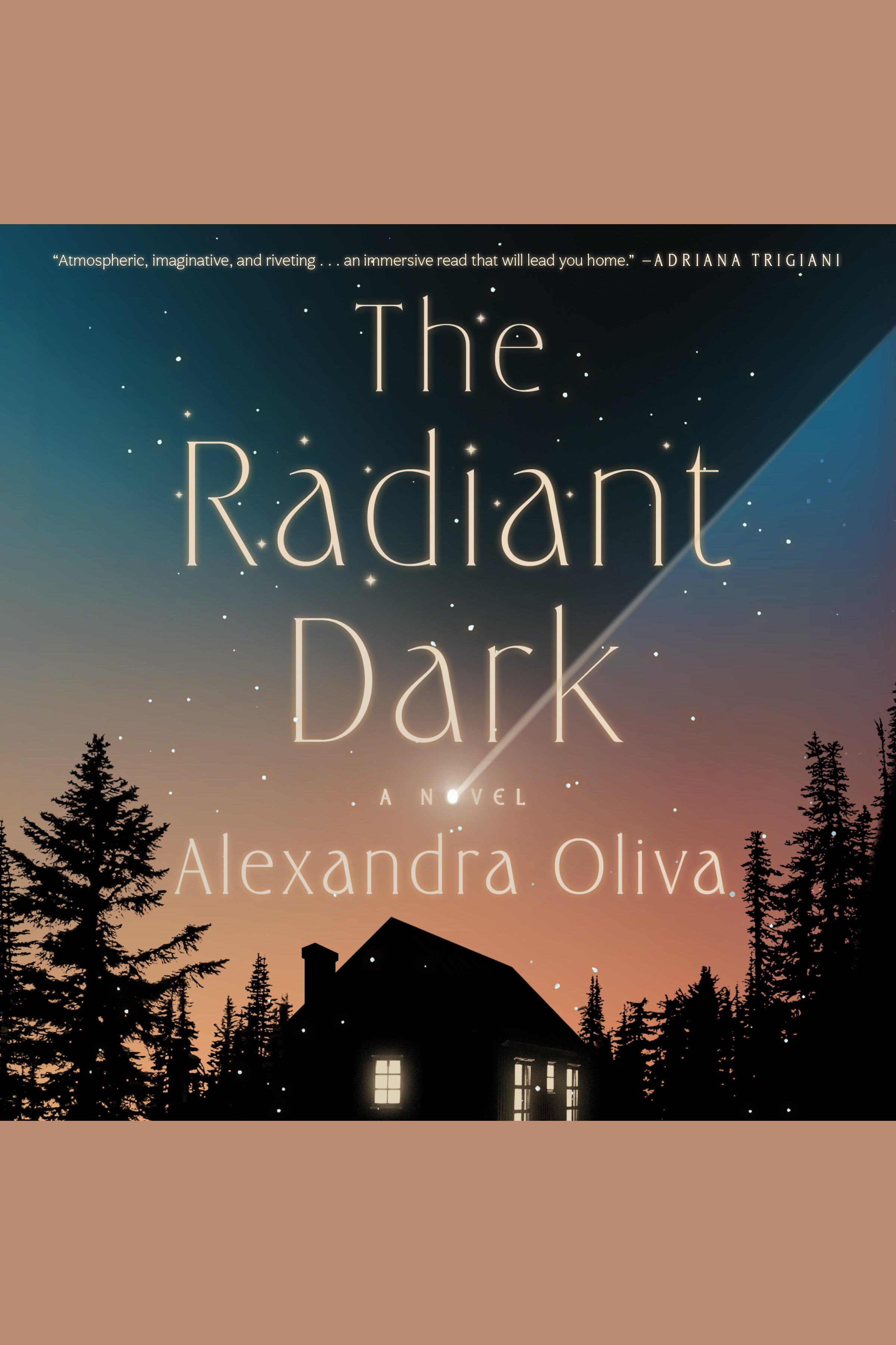 Radiant Dark, The A Novel