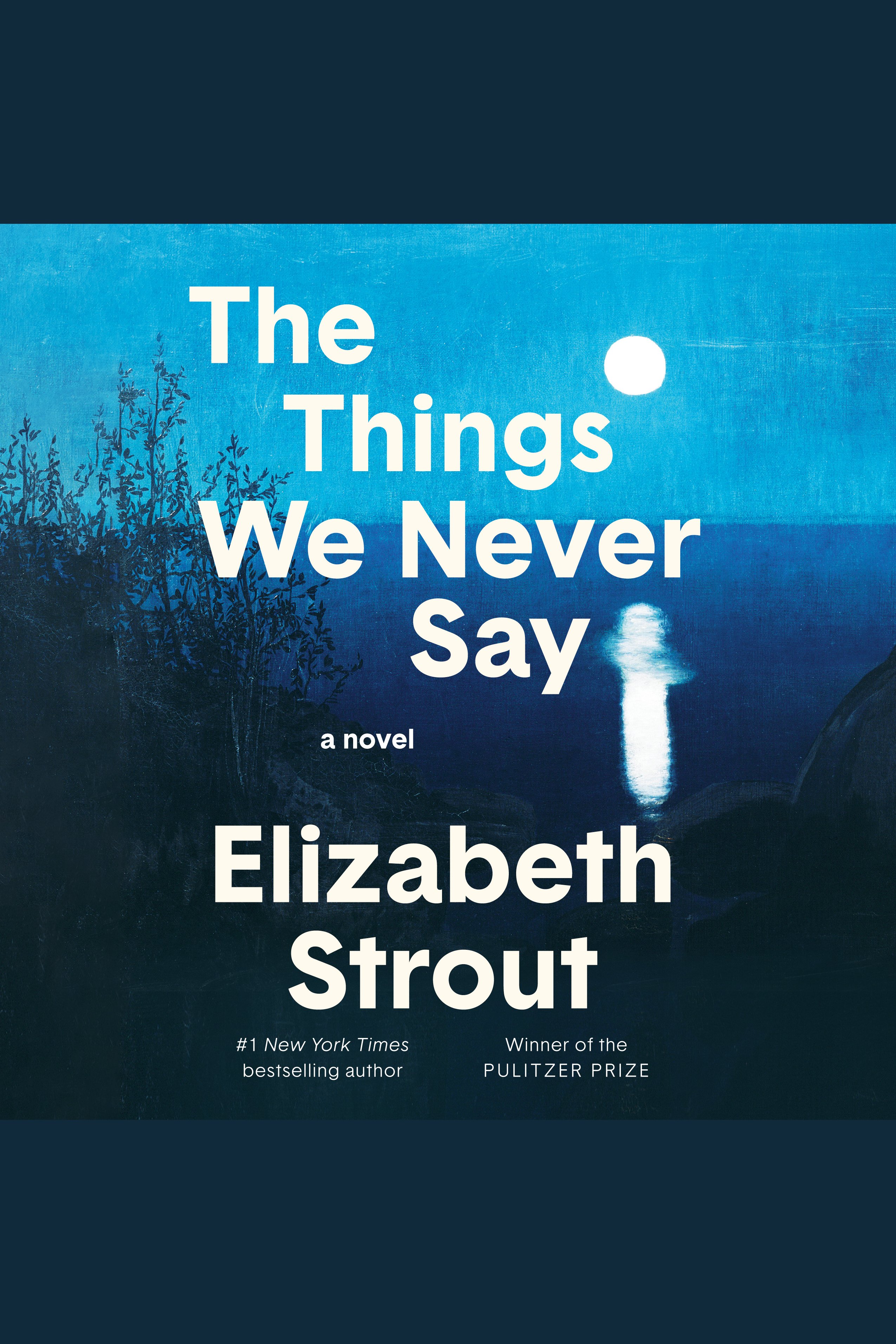 The Things We Never Say A Novel