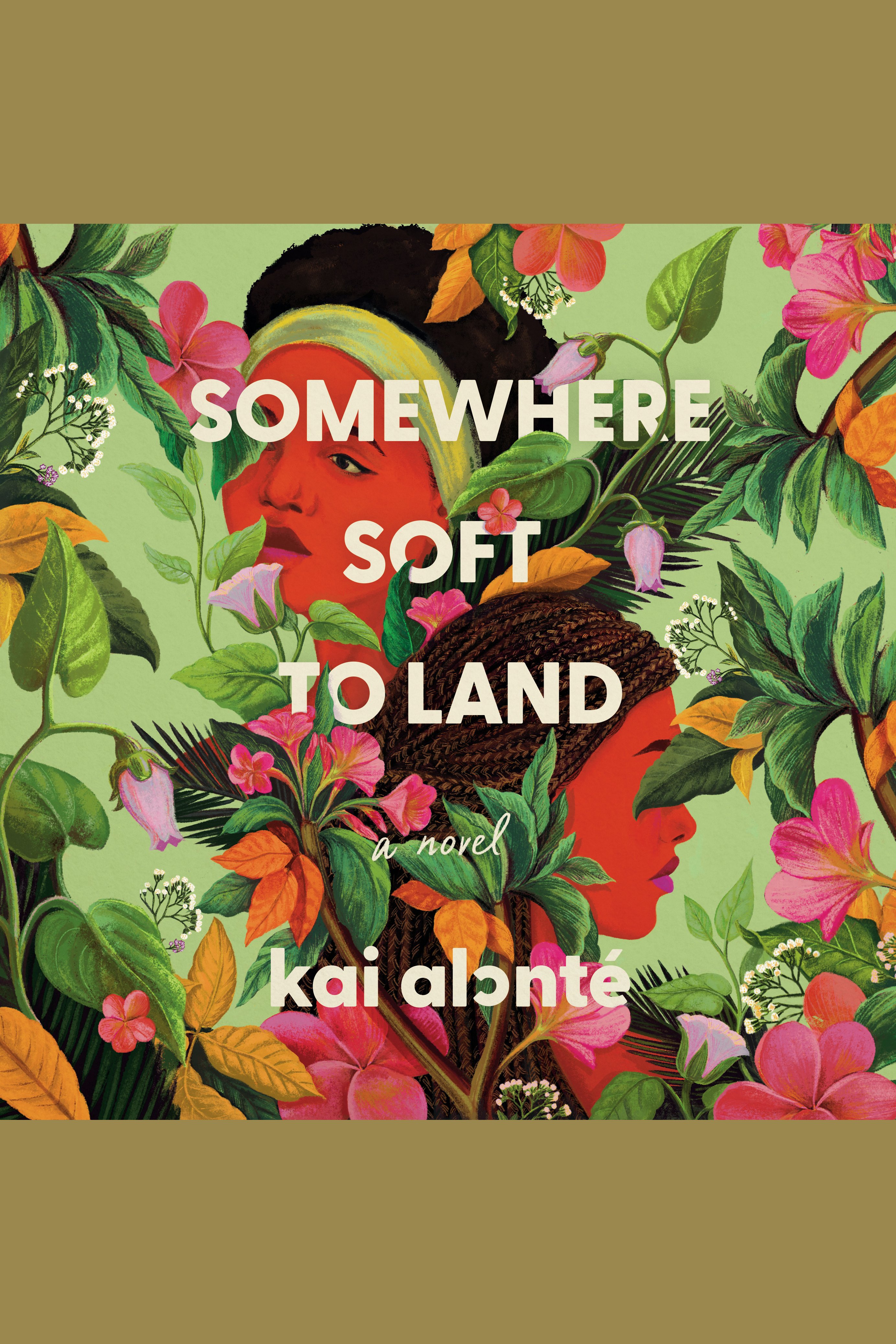 Somewhere Soft to Land A Novel