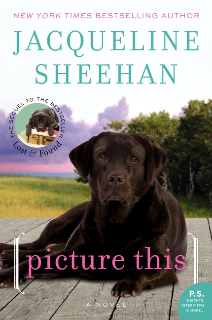 Image de couverture de Picture This [electronic resource] : A Novel