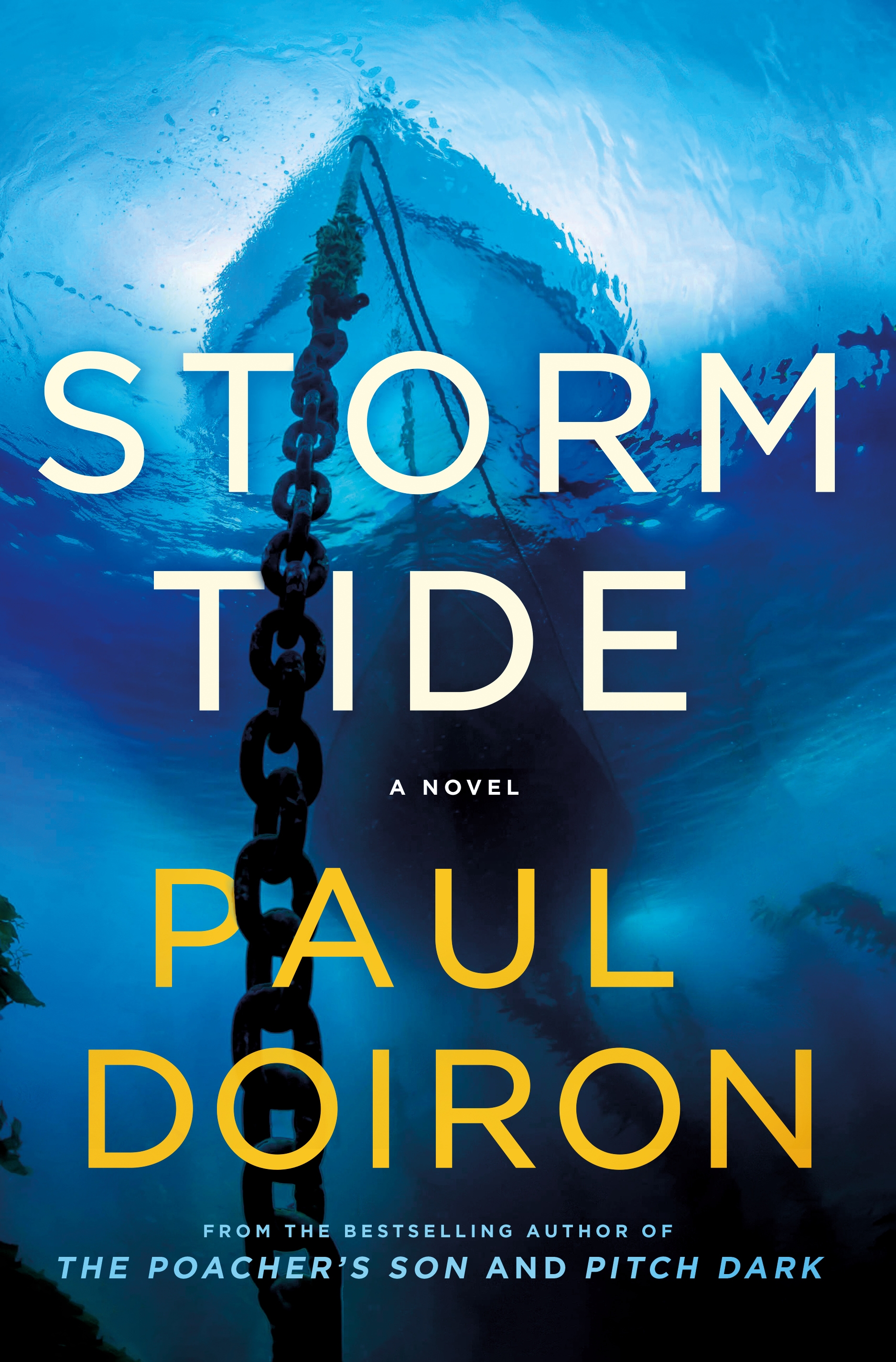 Storm Tide A Novel