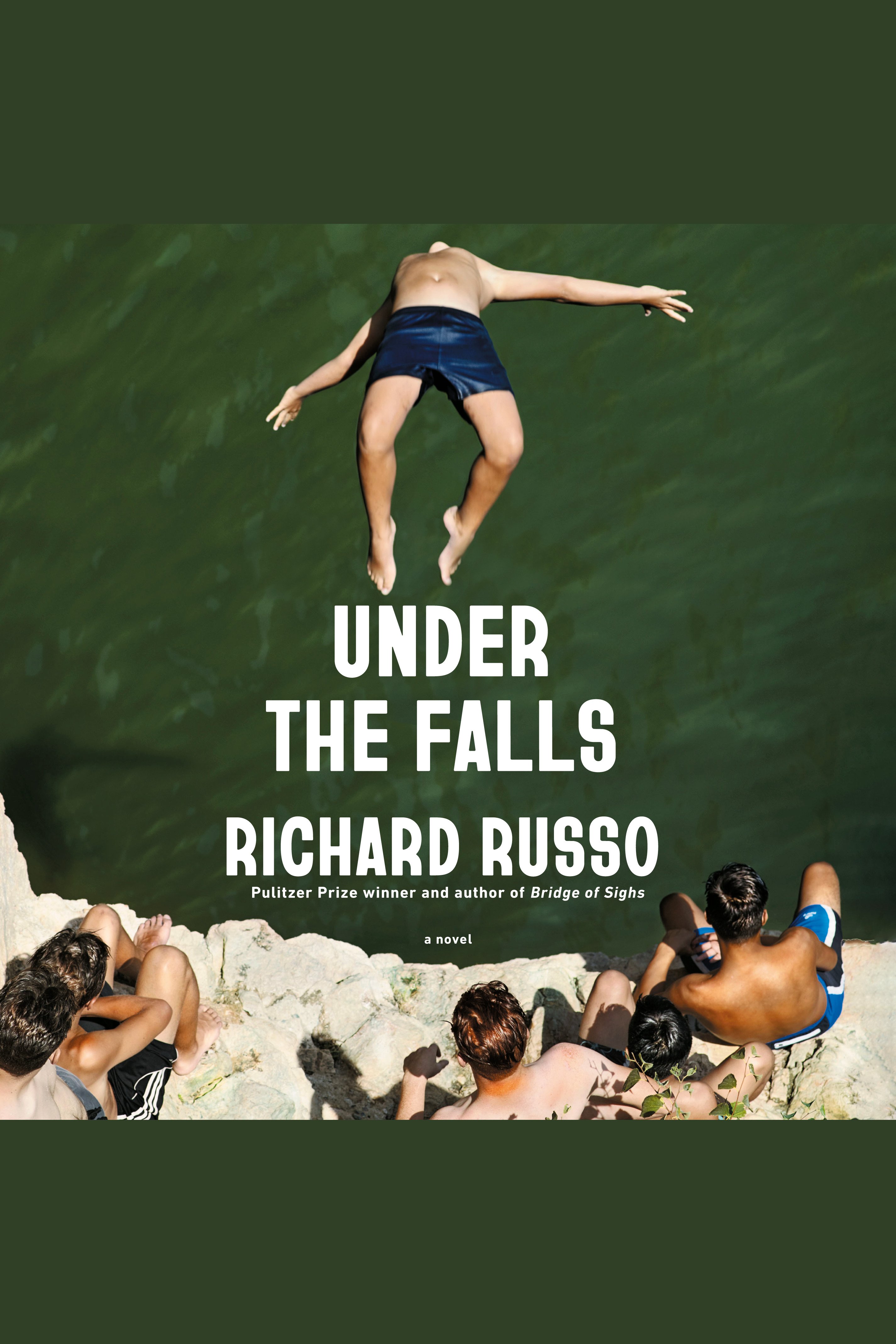Under the Falls A Novel