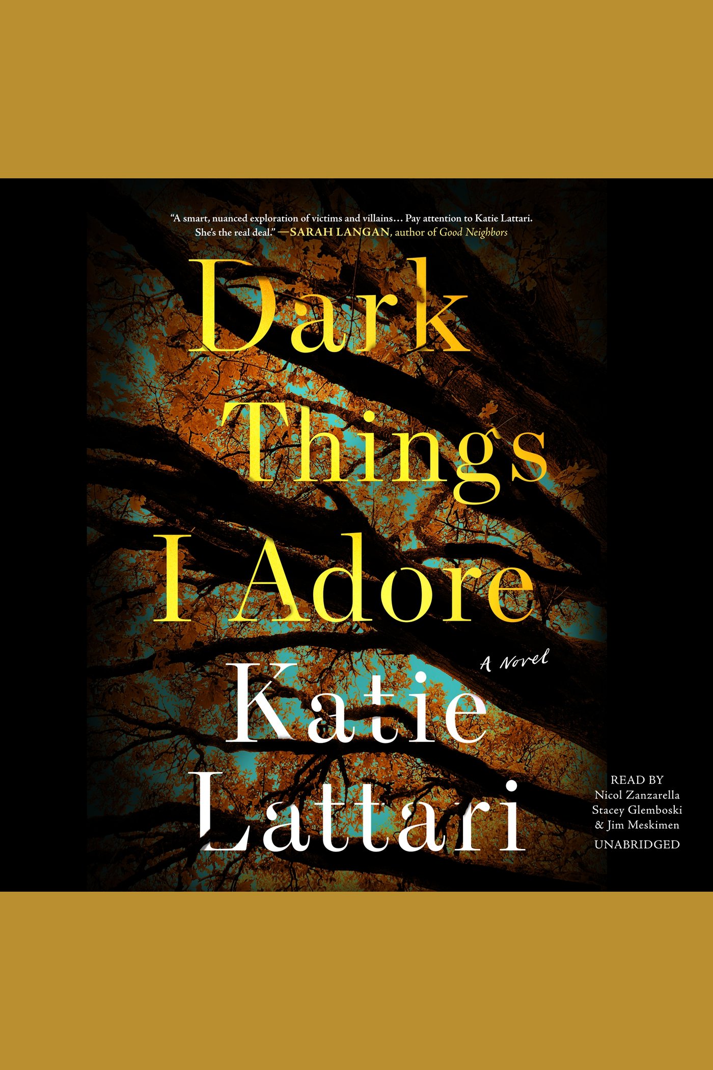 Cover image for Dark Things I Adore [electronic resource] :