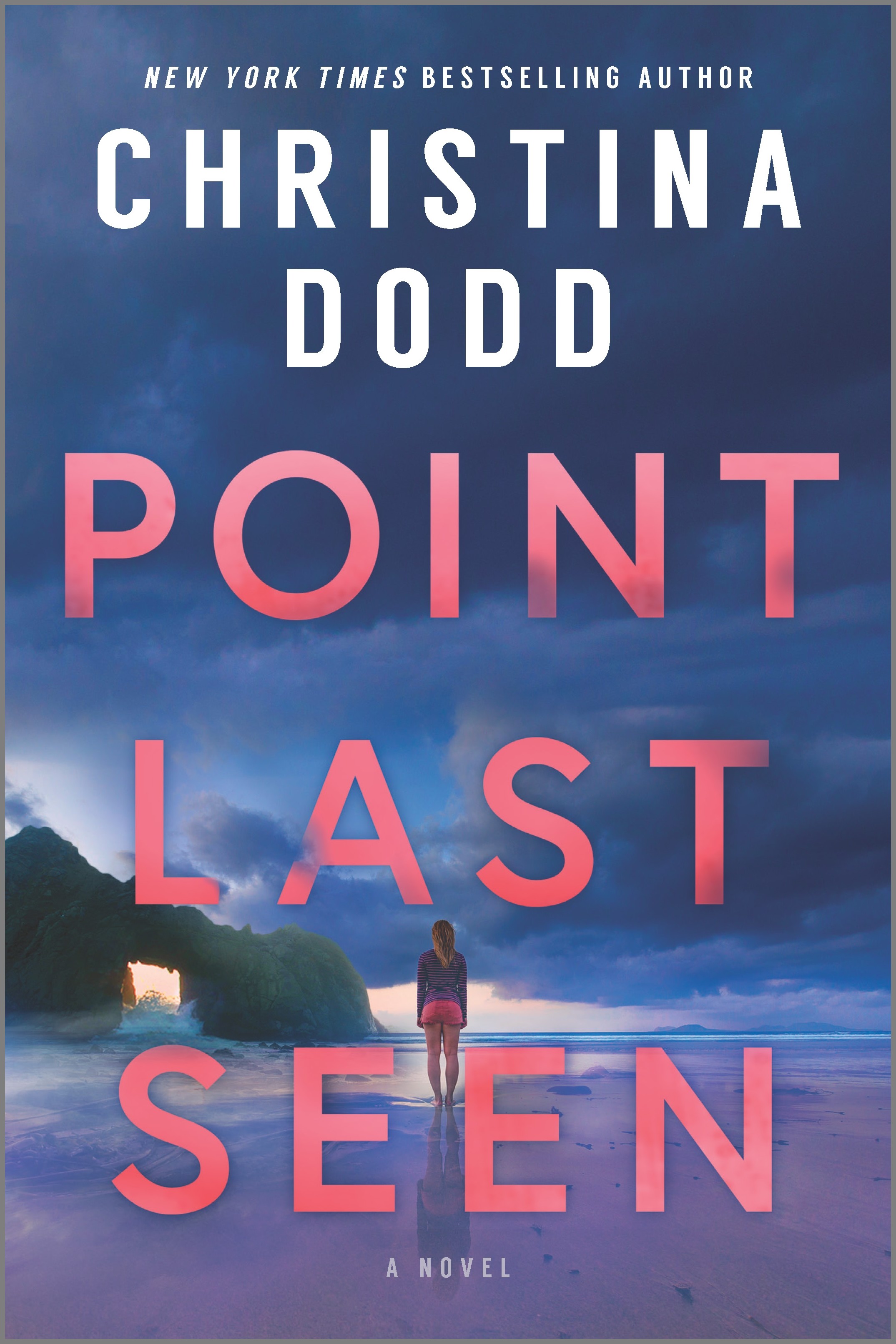 Cover image for Point Last Seen [electronic resource] : A Novel