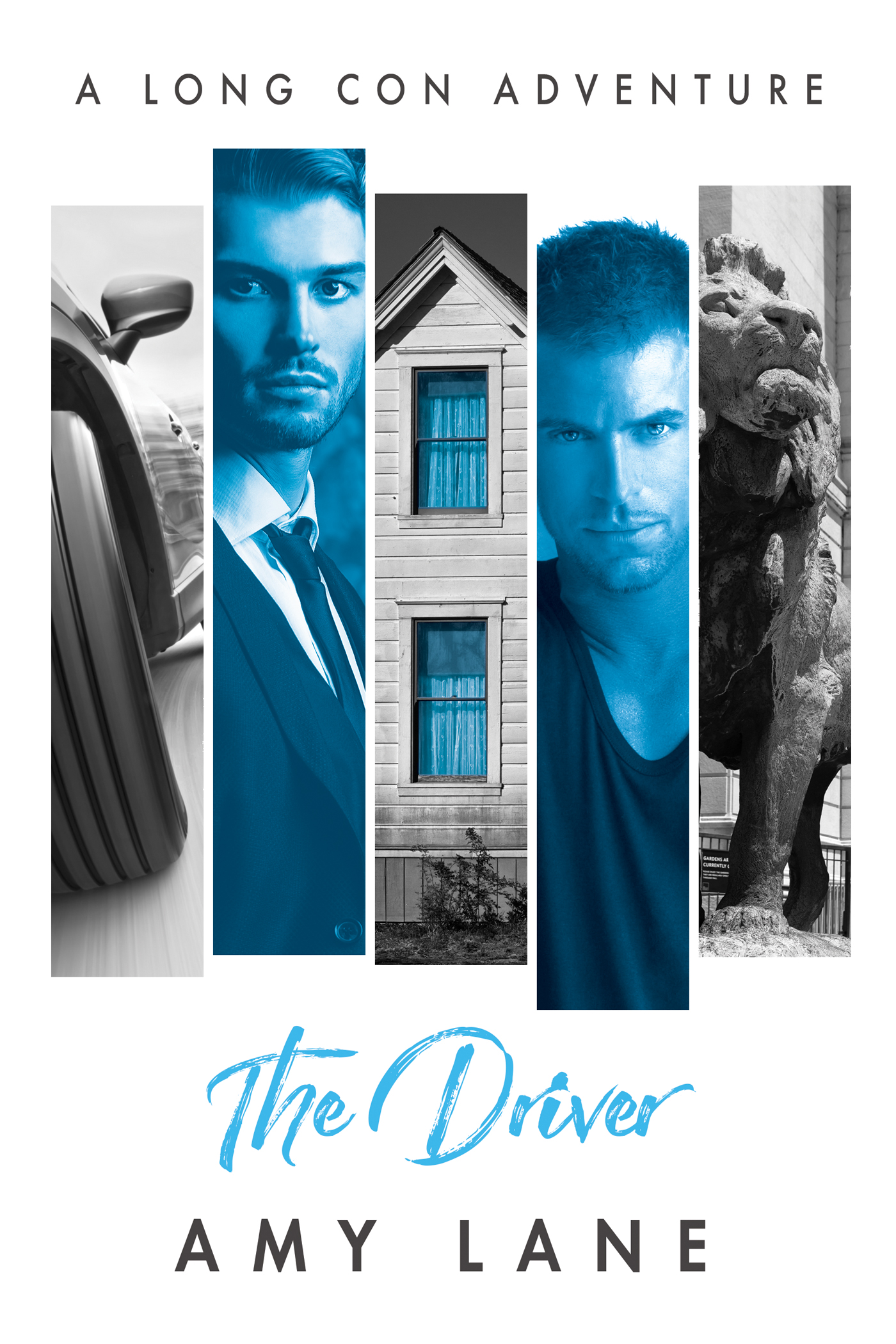 Umschlagbild für The Driver [electronic resource] :