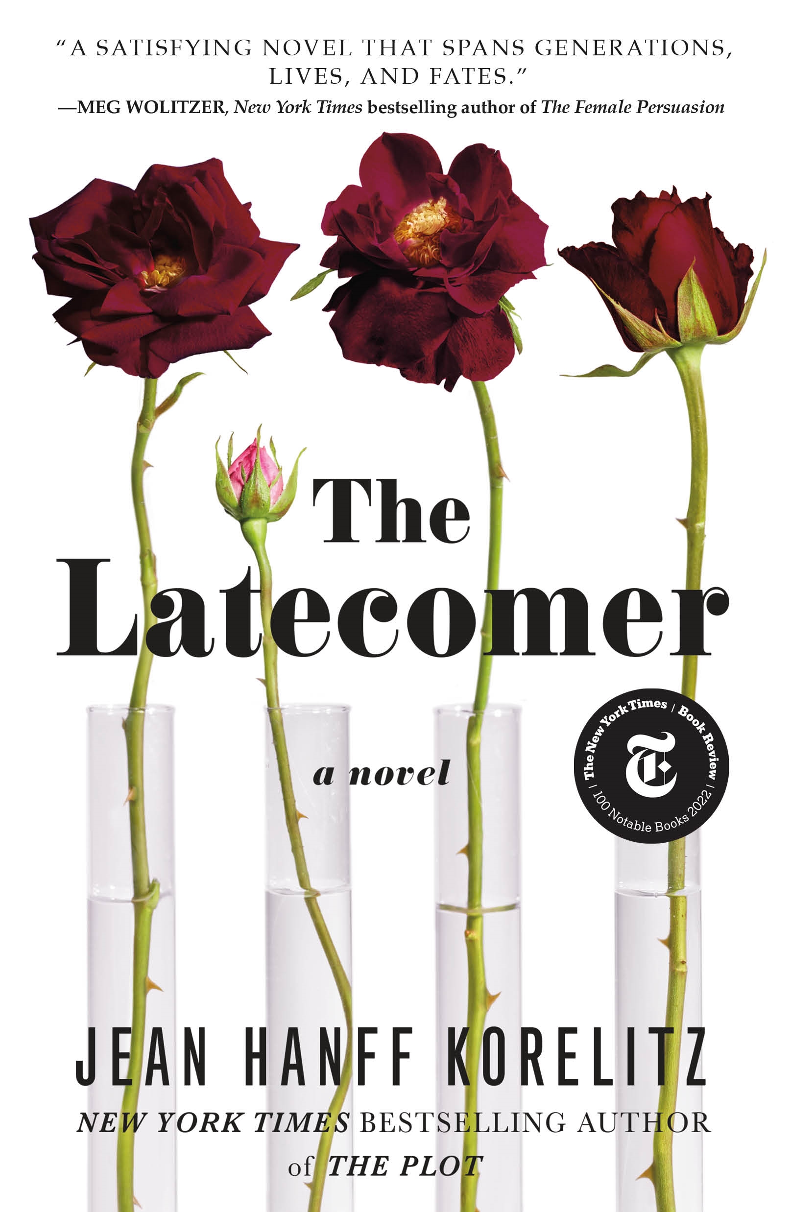 Umschlagbild für The Latecomer [electronic resource] : A Novel