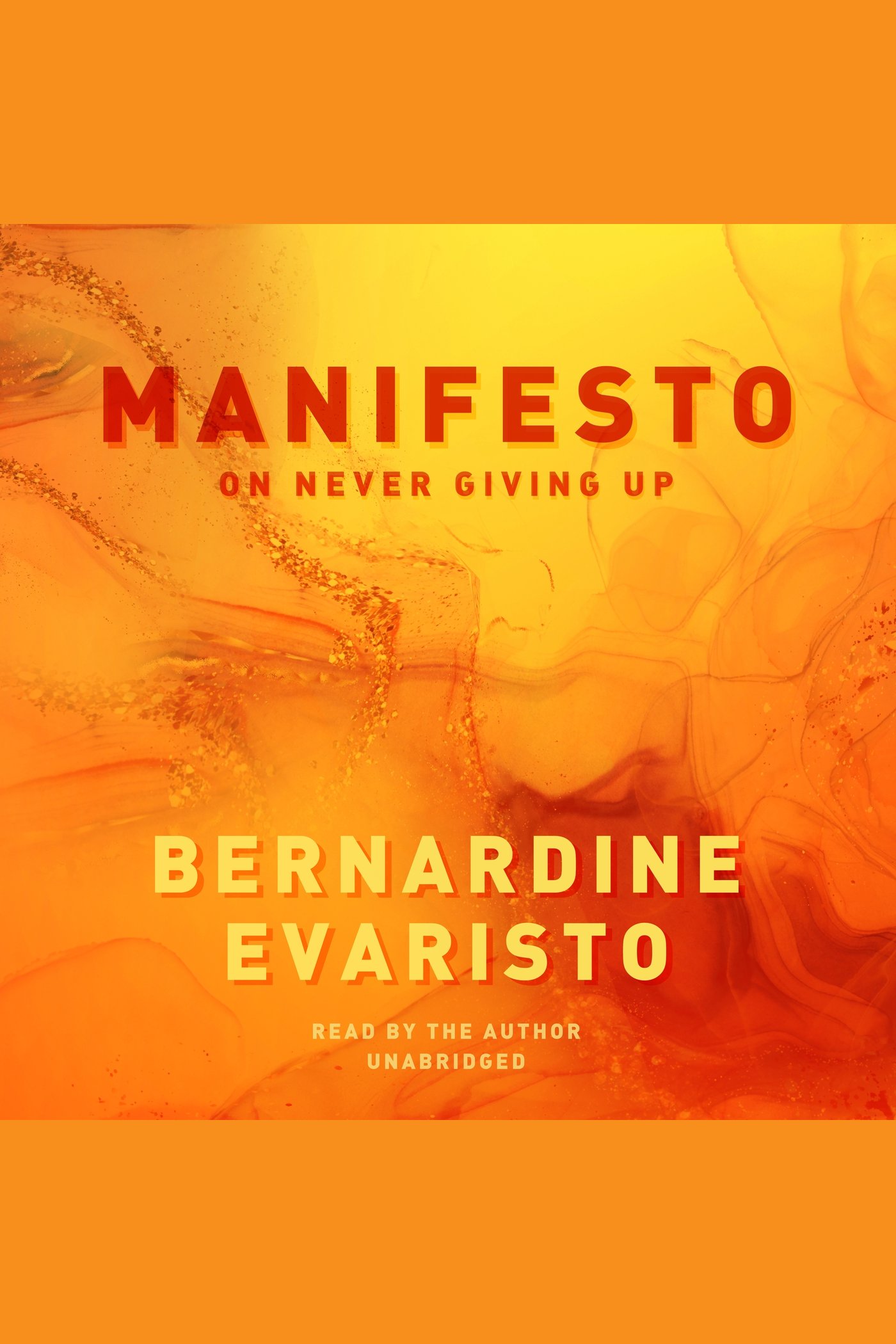 Manifesto On Never Giving Up cover image