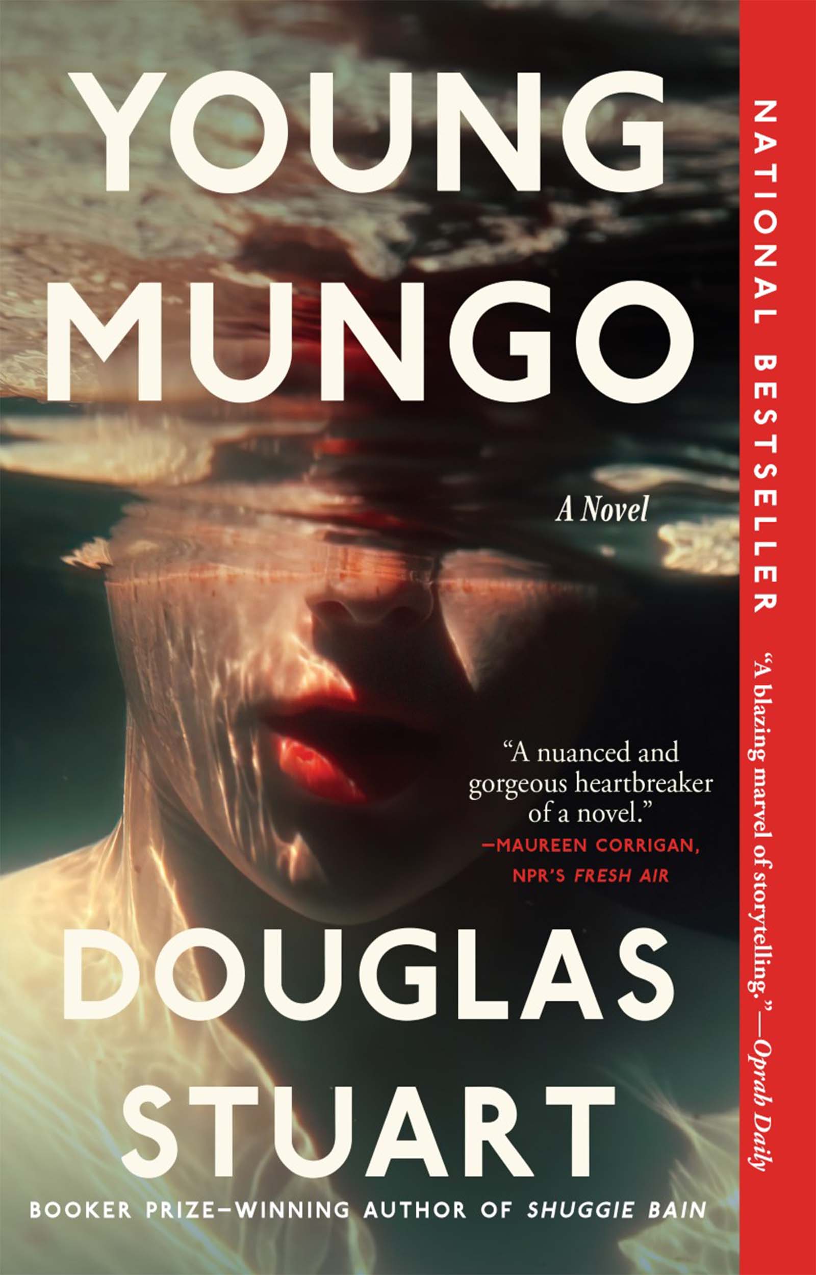 Umschlagbild für Young Mungo [electronic resource] :