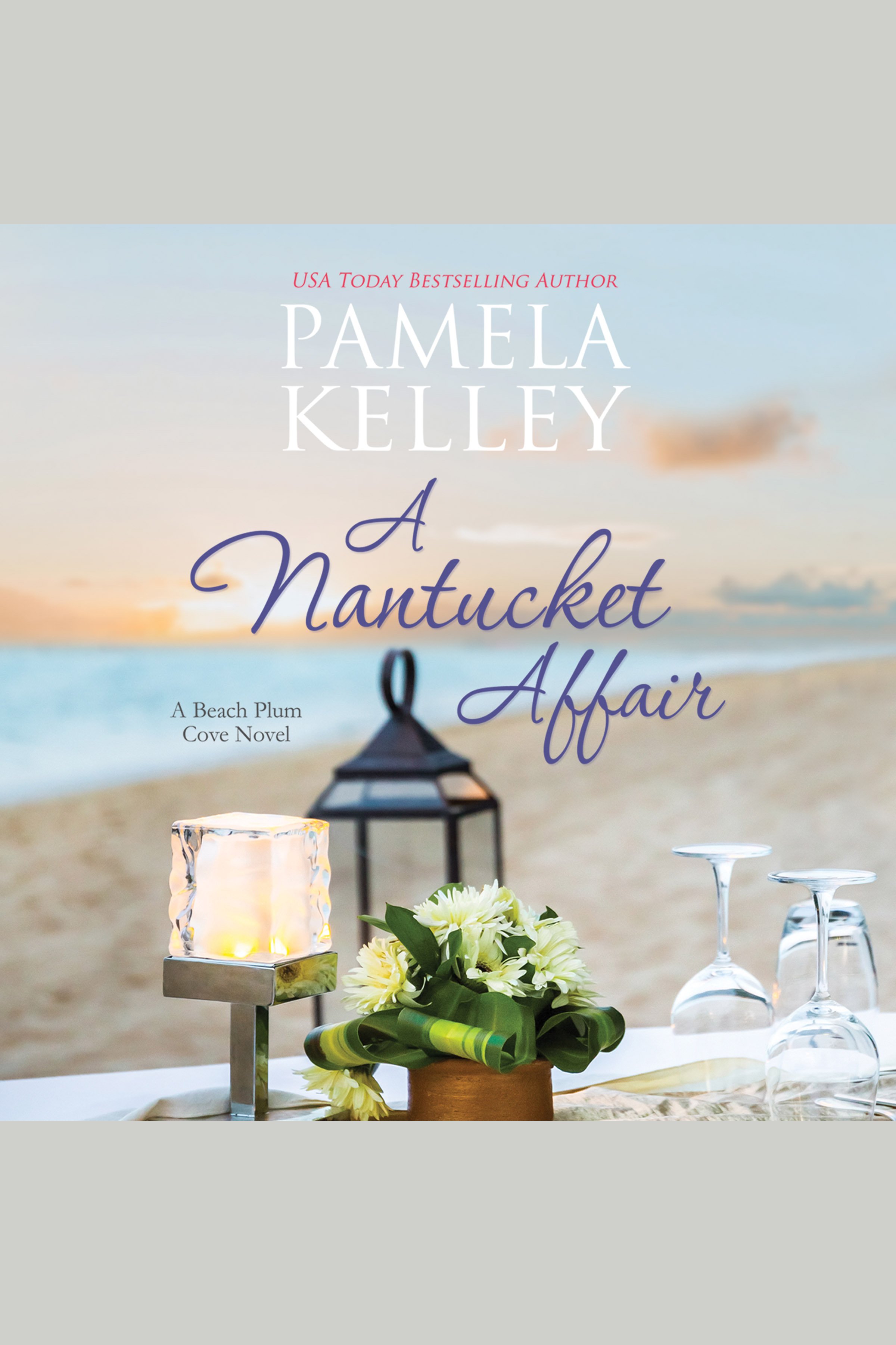 Image de couverture de Nantucket Affair, A [electronic resource] :