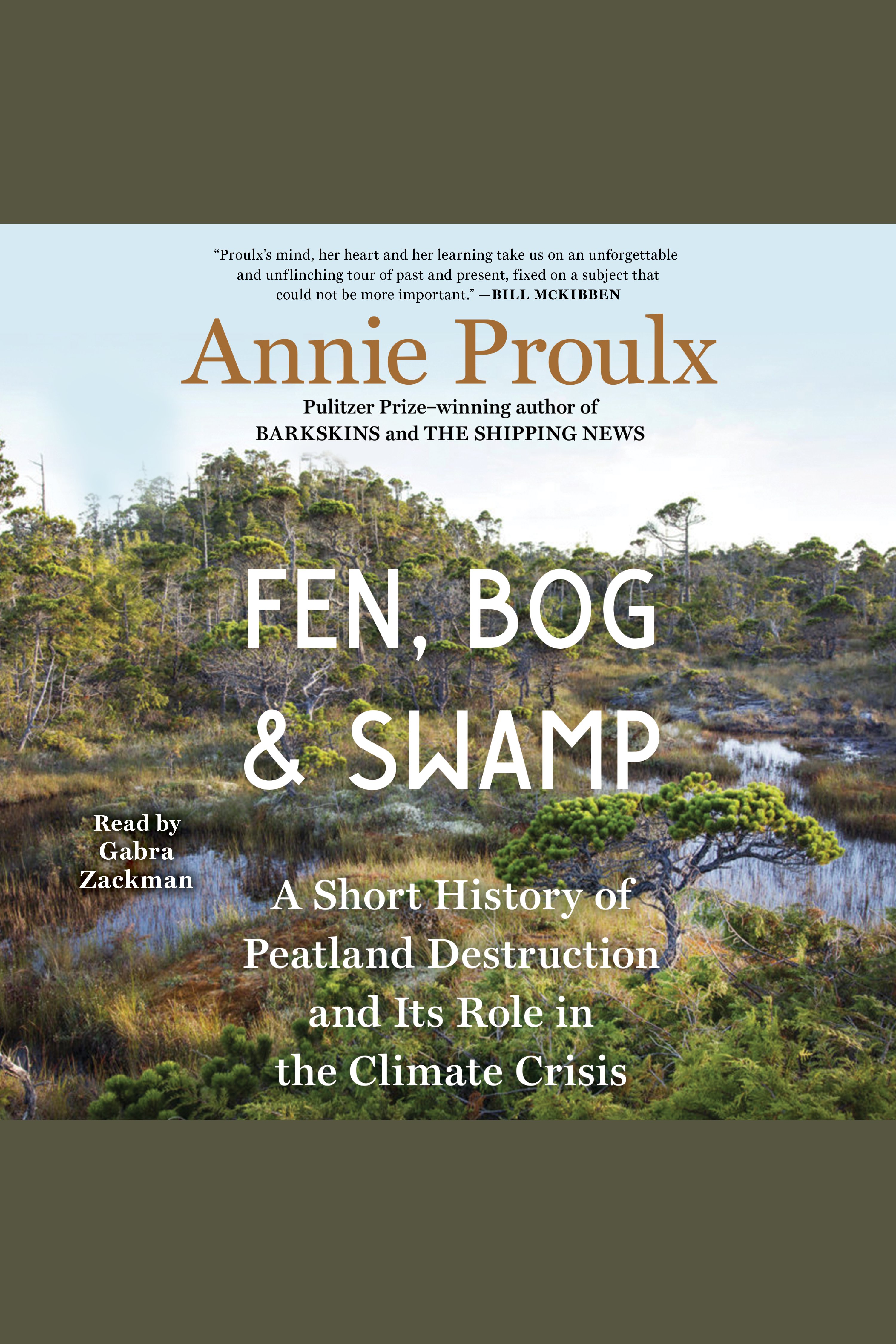 Fen, Bog and Swamp A Short History of Peatland Destruction and Its Role in the Climate Crisis cover image
