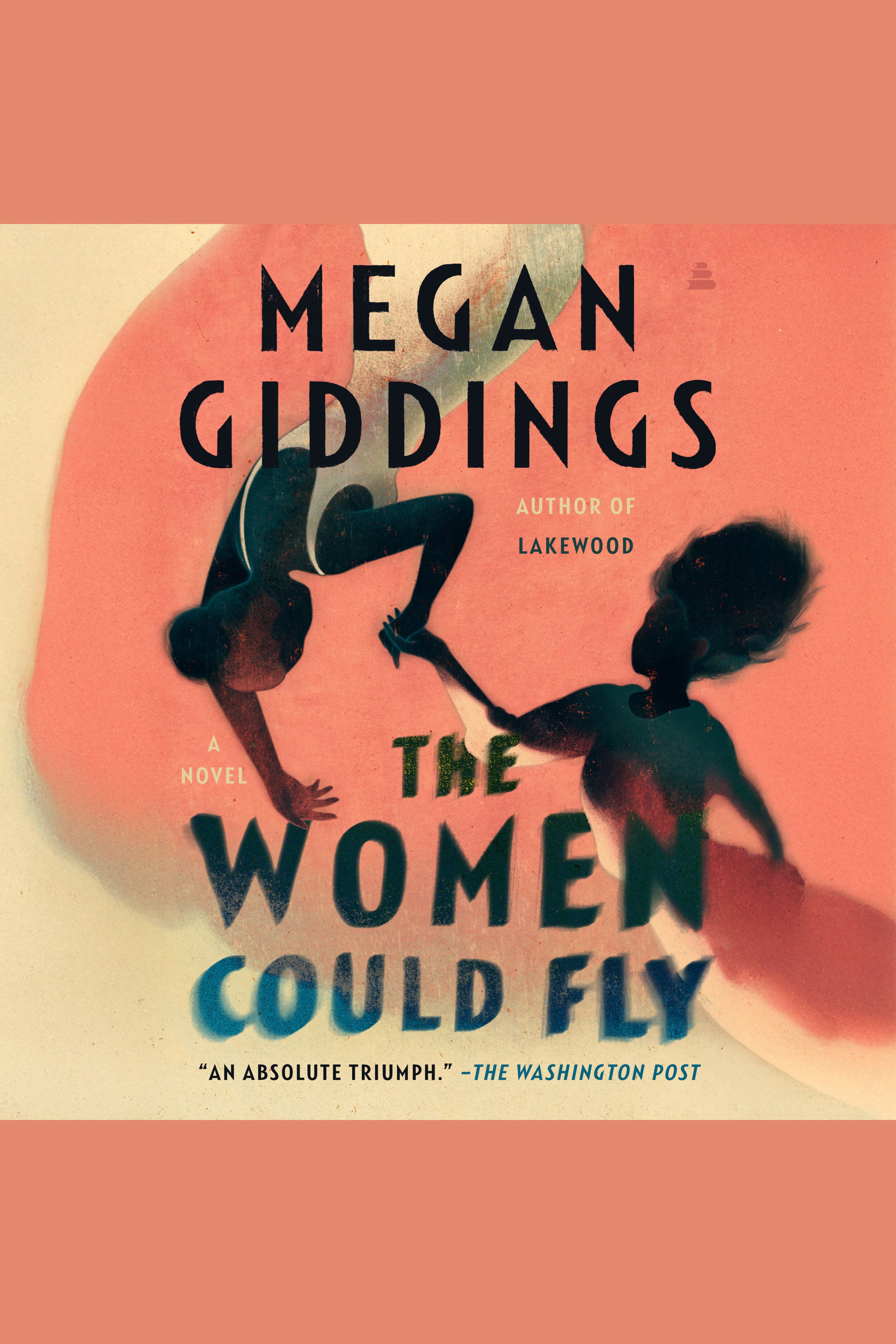 The Women Could Fly cover image