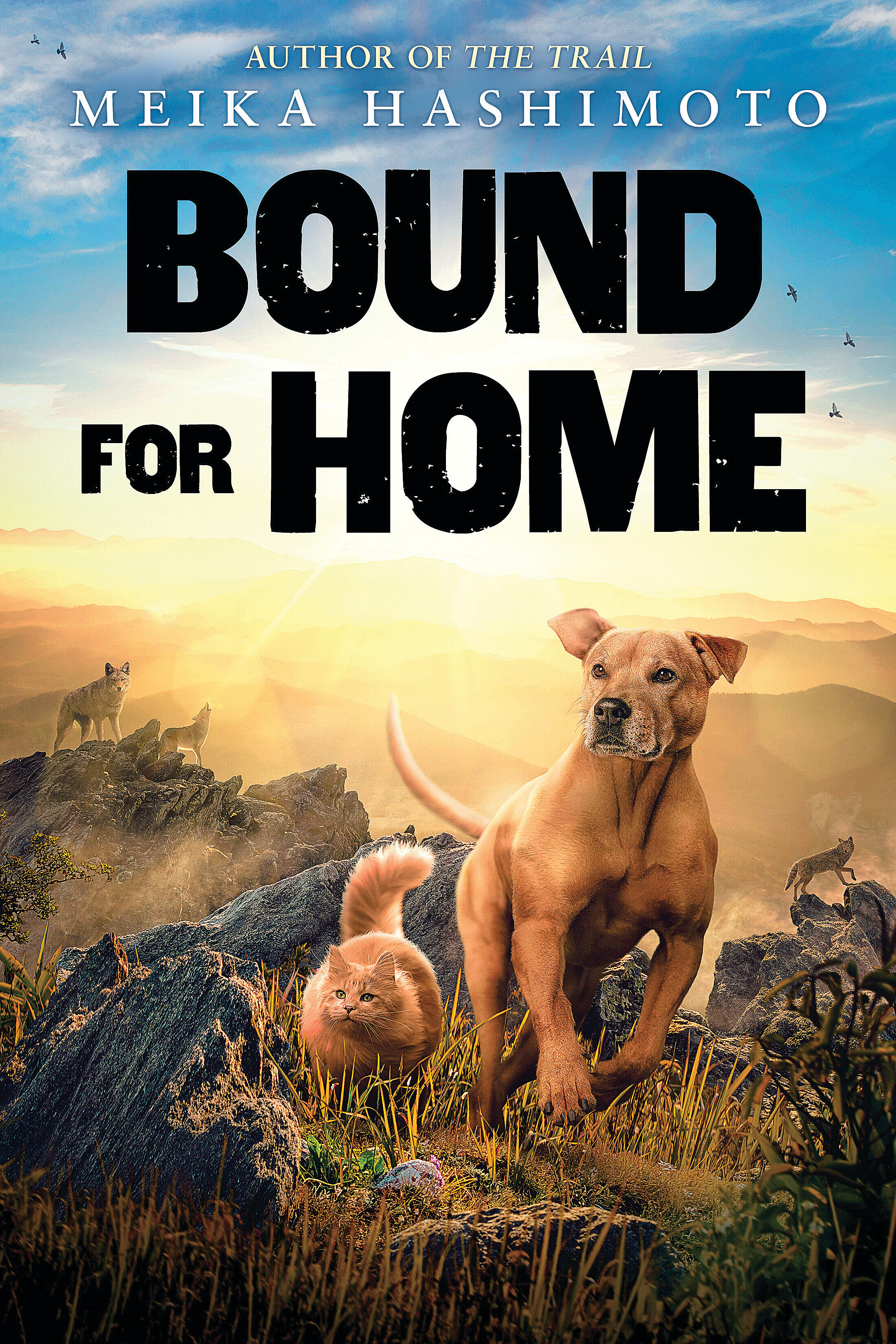 Umschlagbild für Bound For Home [electronic resource] :