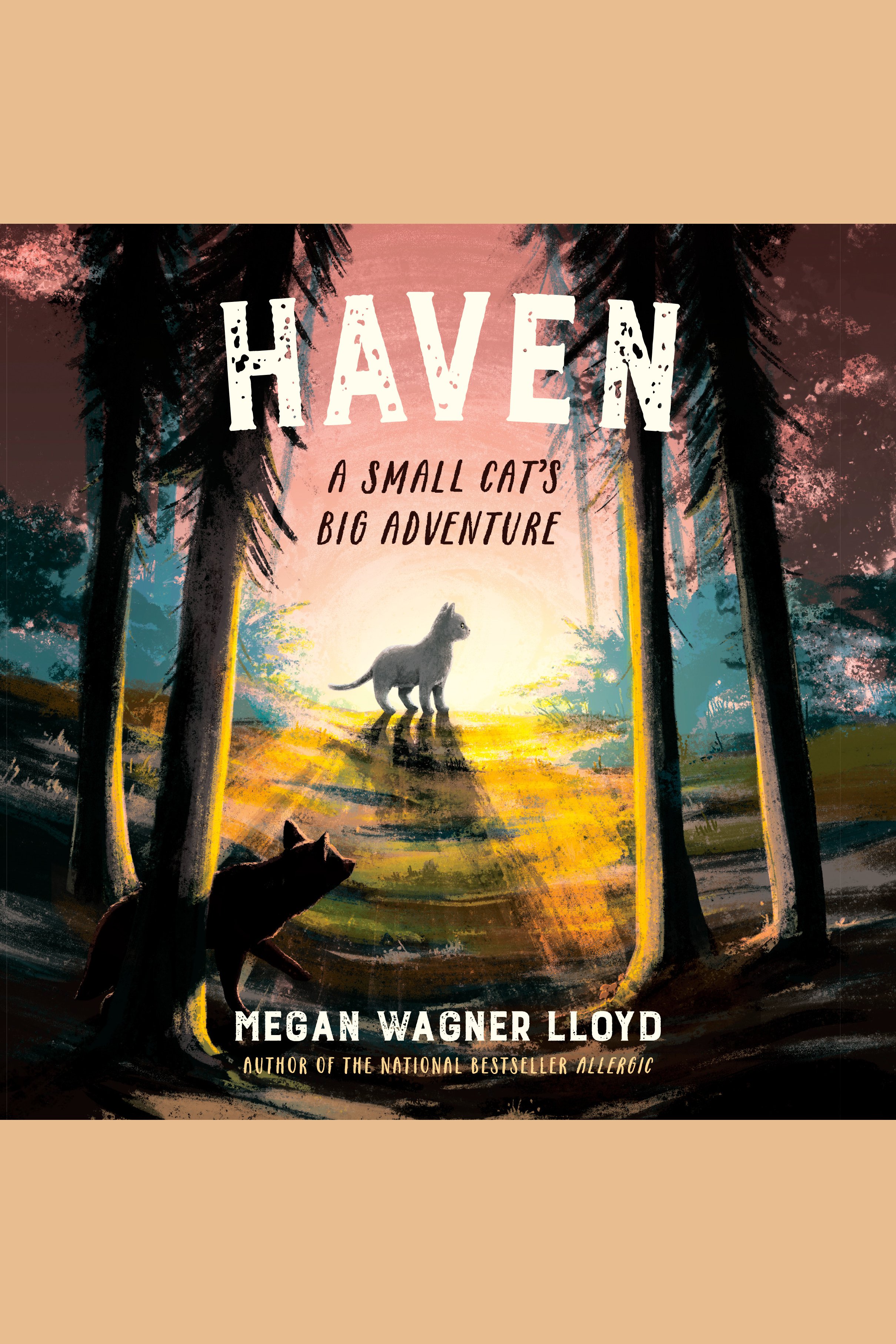 Haven A Small Cat's Big Adventure cover image