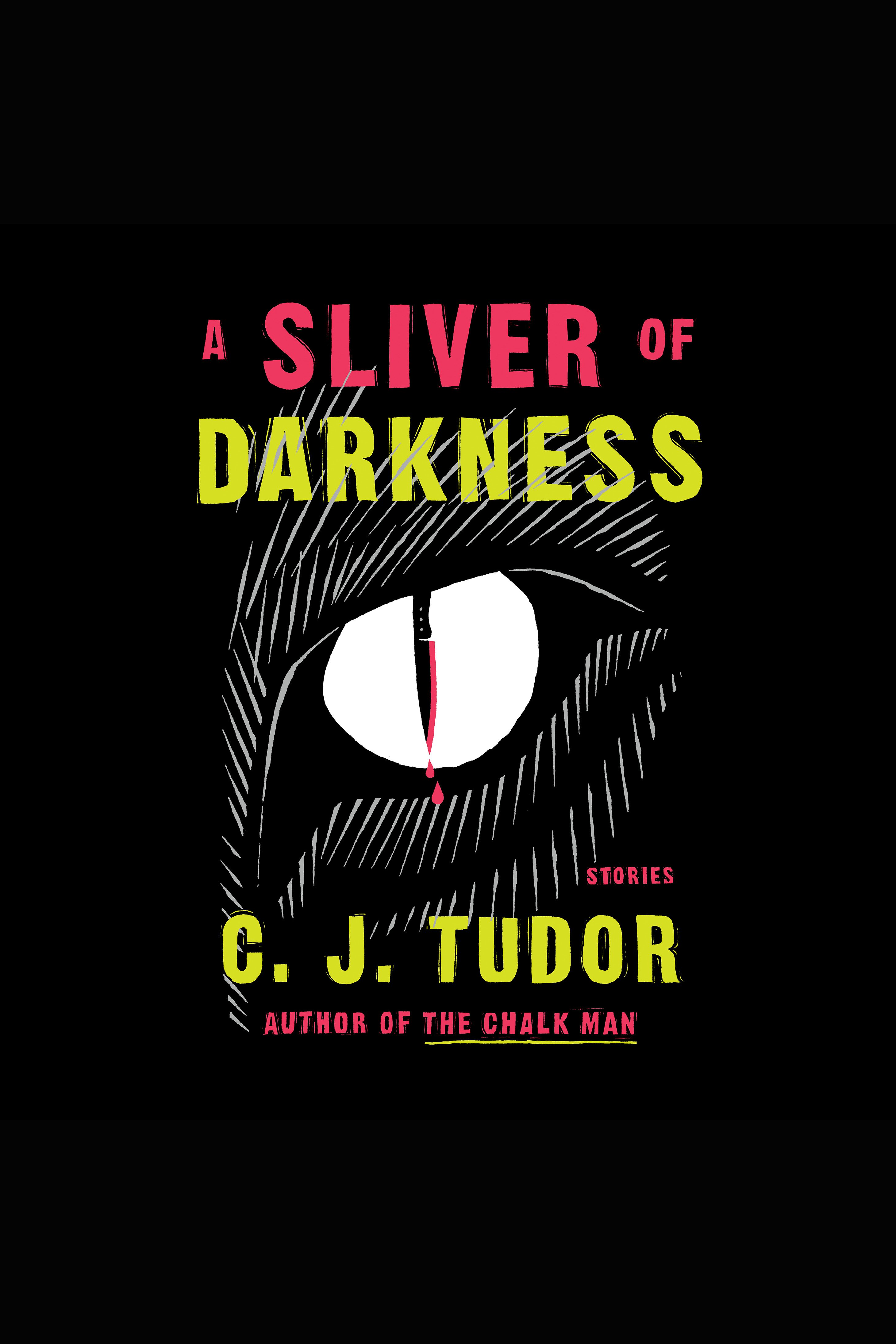 Image de couverture de A Sliver of Darkness [electronic resource] : Stories