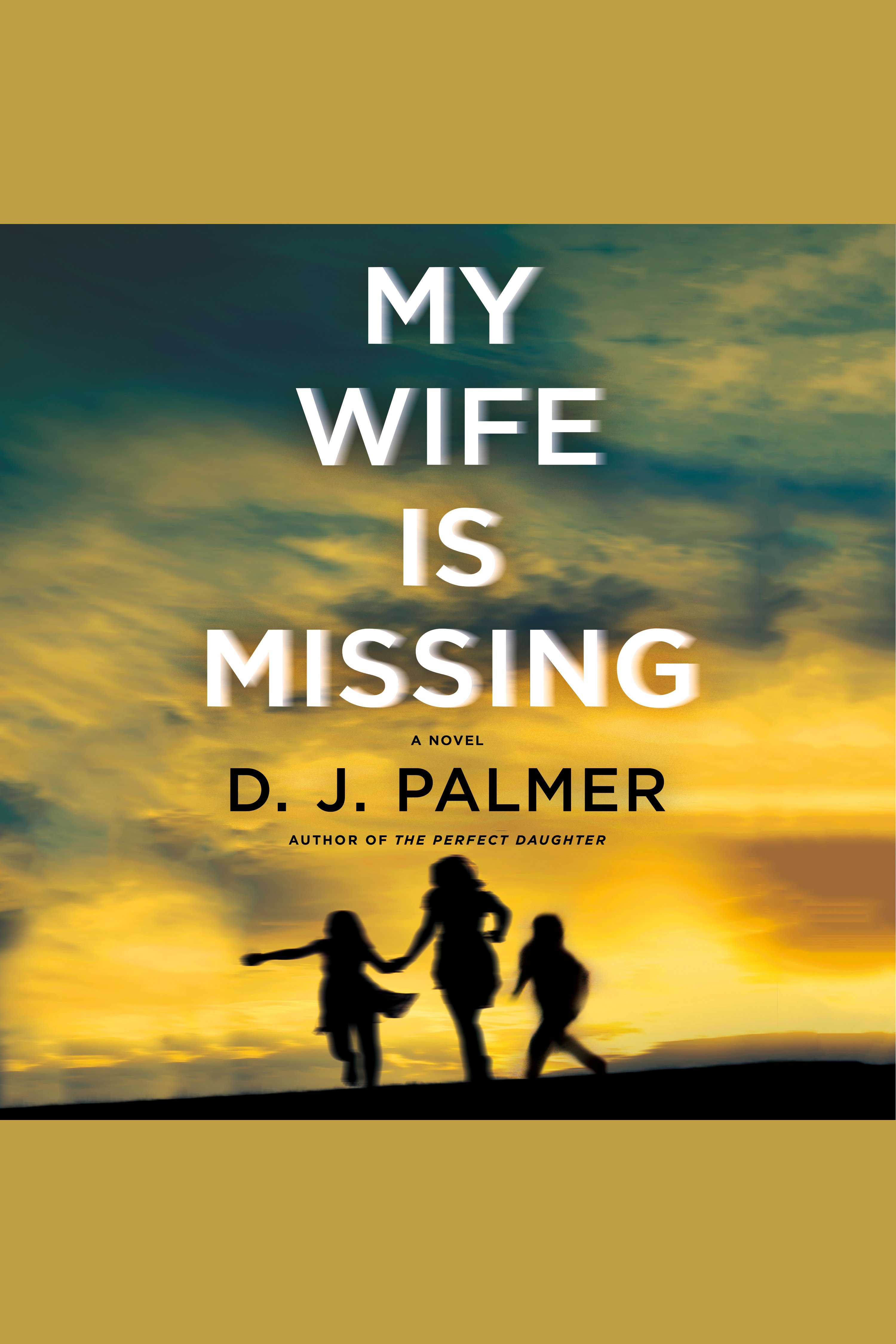 Image de couverture de My Wife Is Missing [electronic resource] : A Novel