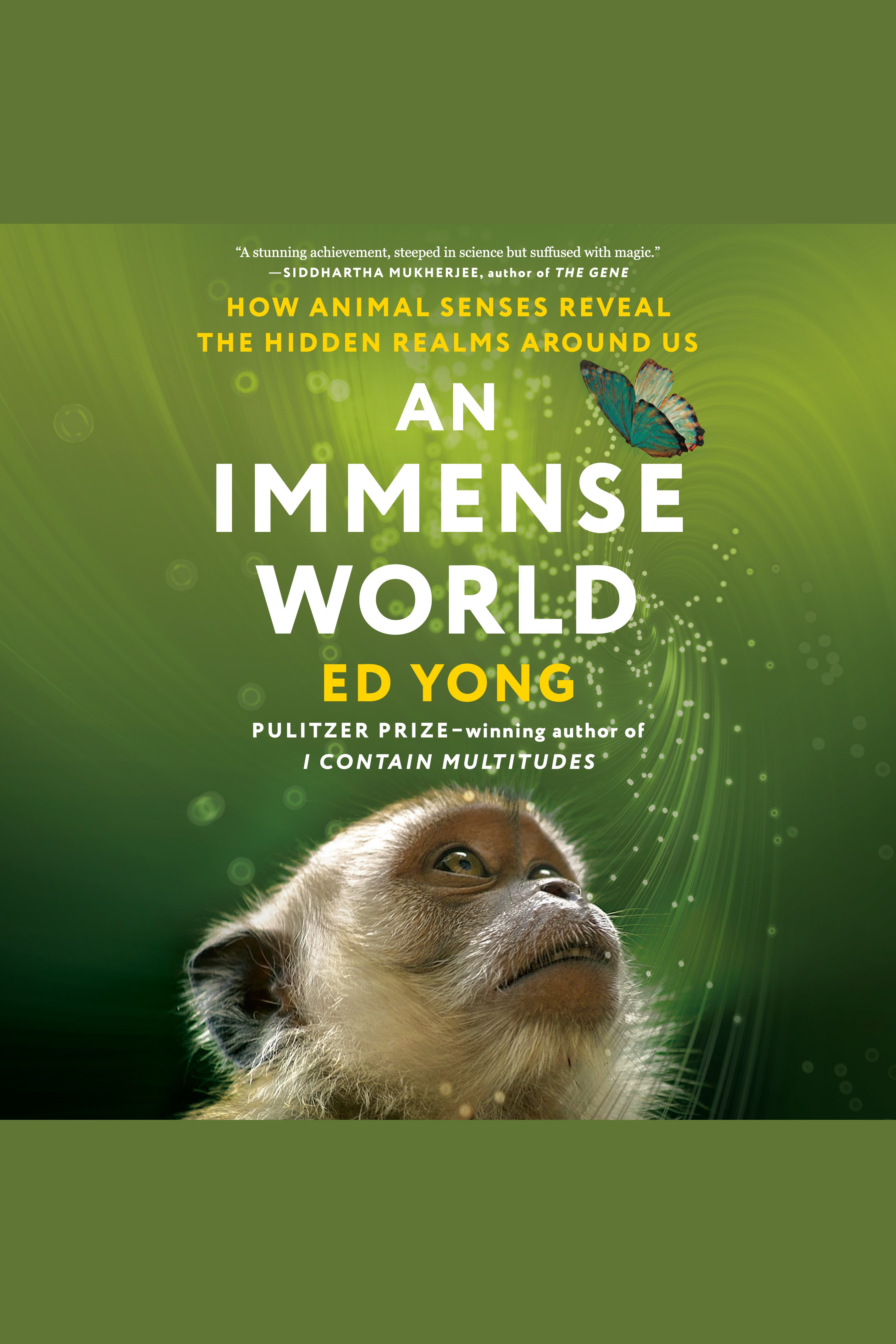 Cover image for An Immense World [electronic resource] : How Animal Senses Reveal the Hidden Realms Around Us