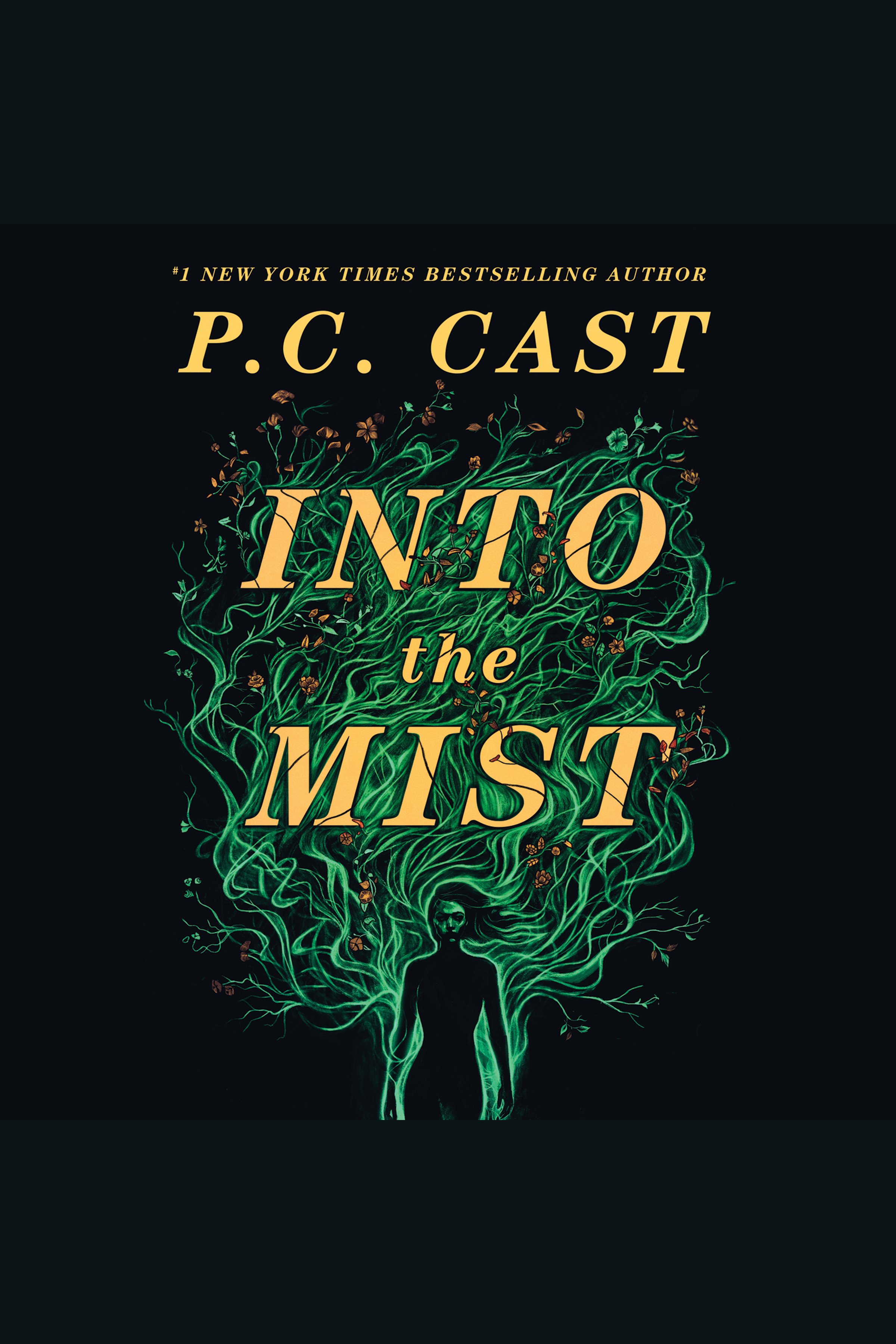 Umschlagbild für Into the Mist [electronic resource] :