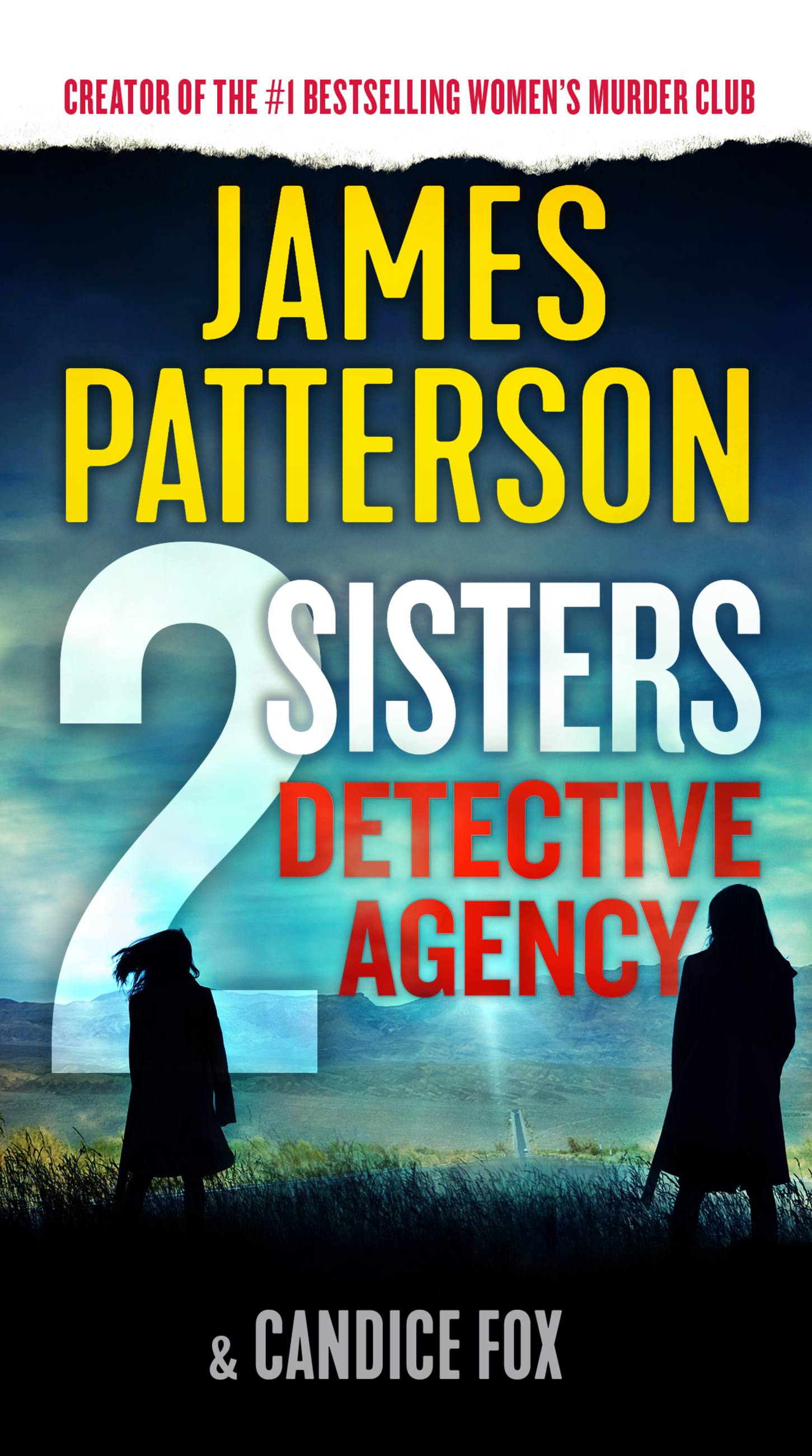 2 Sisters Detective Agency cover image