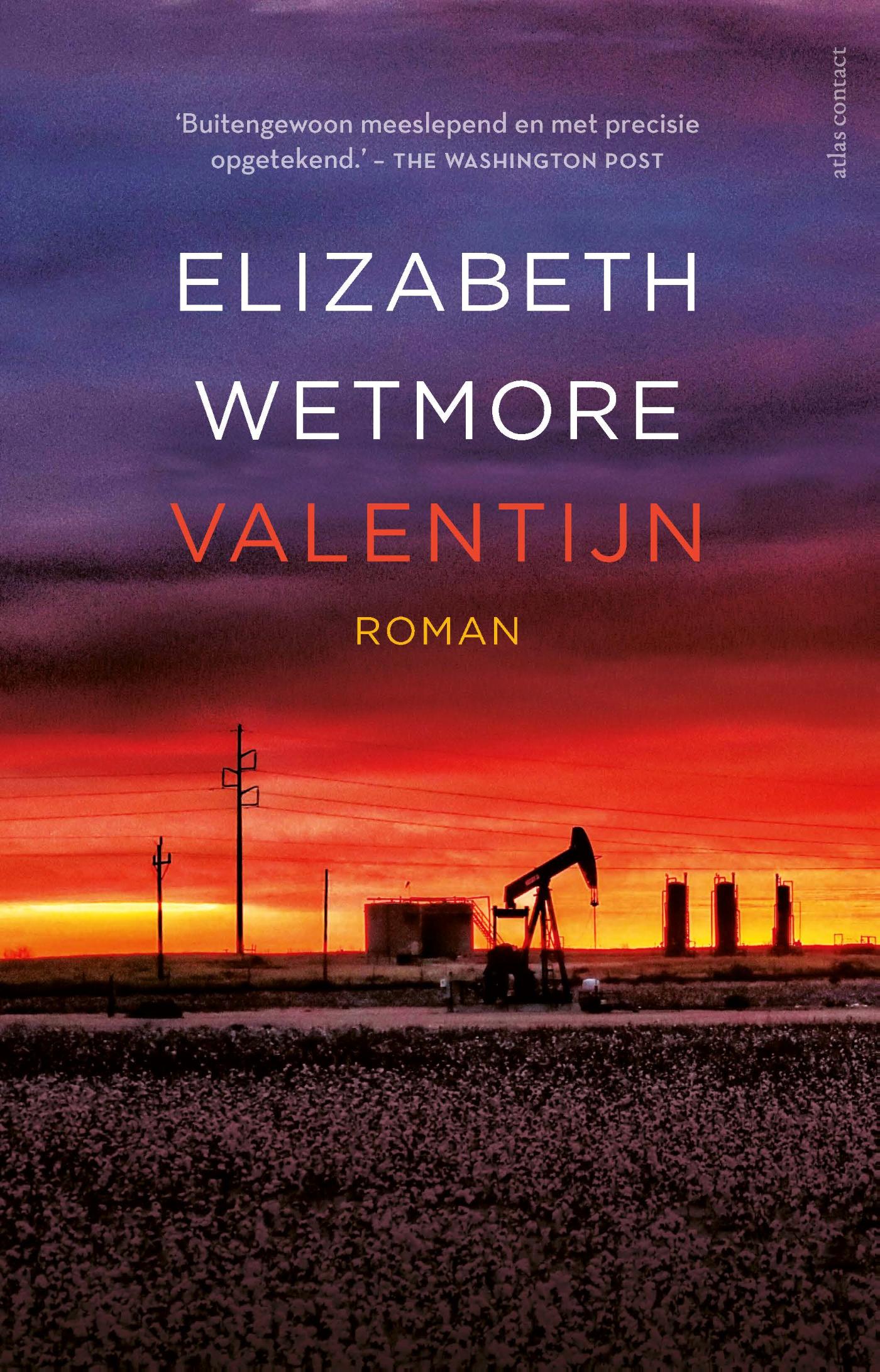 Valentijn : roman